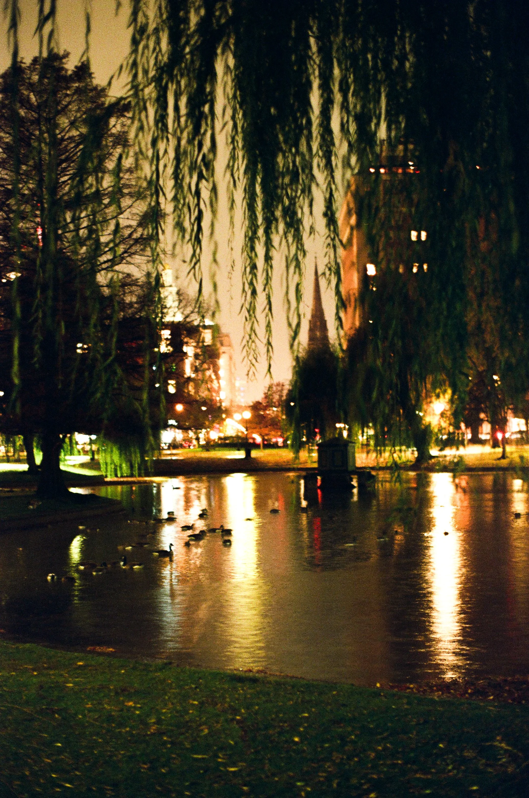 Boston Public Garden at Night