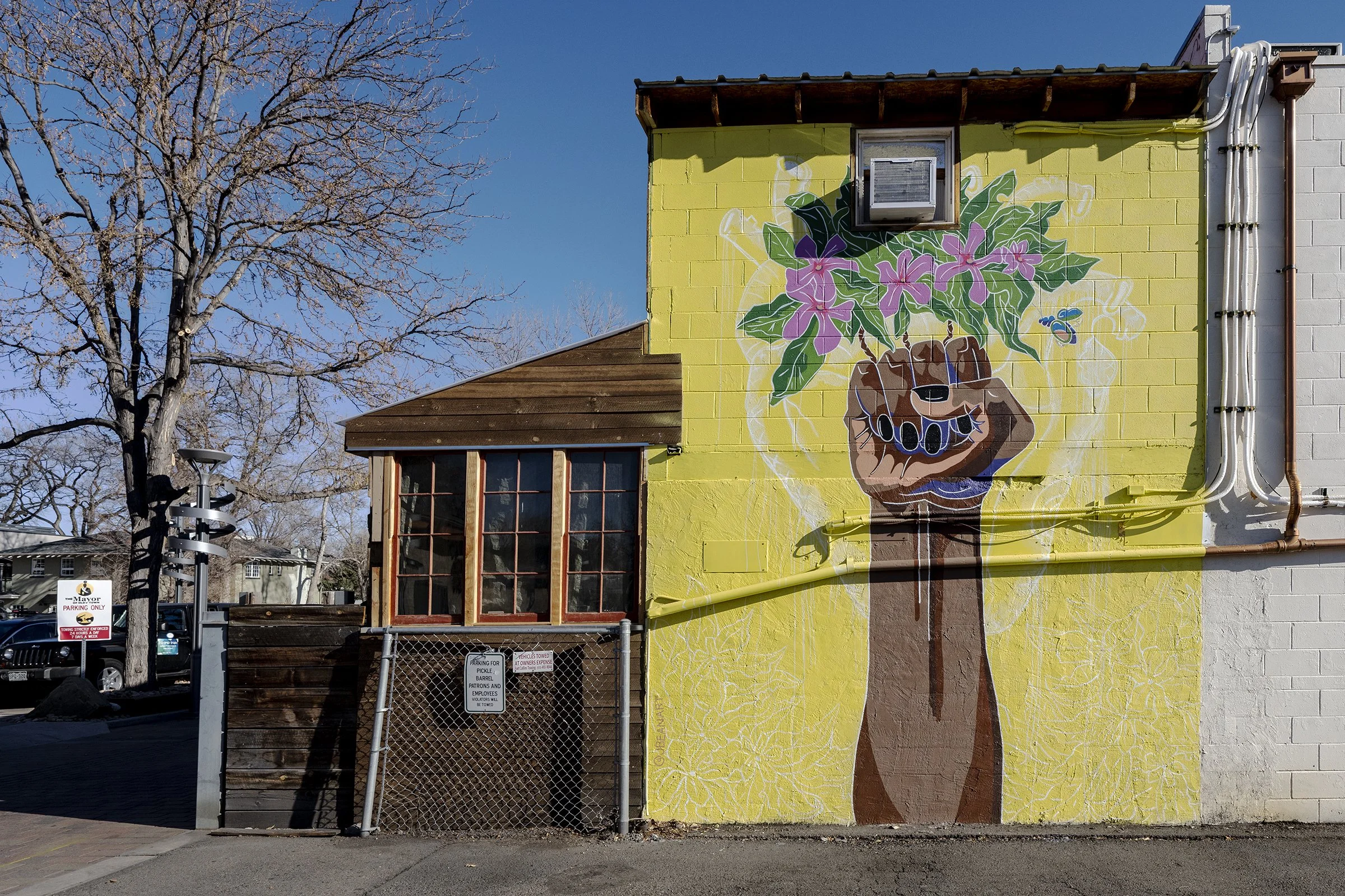 11-29-2020 - Jess Bean - 8 wide.jpg