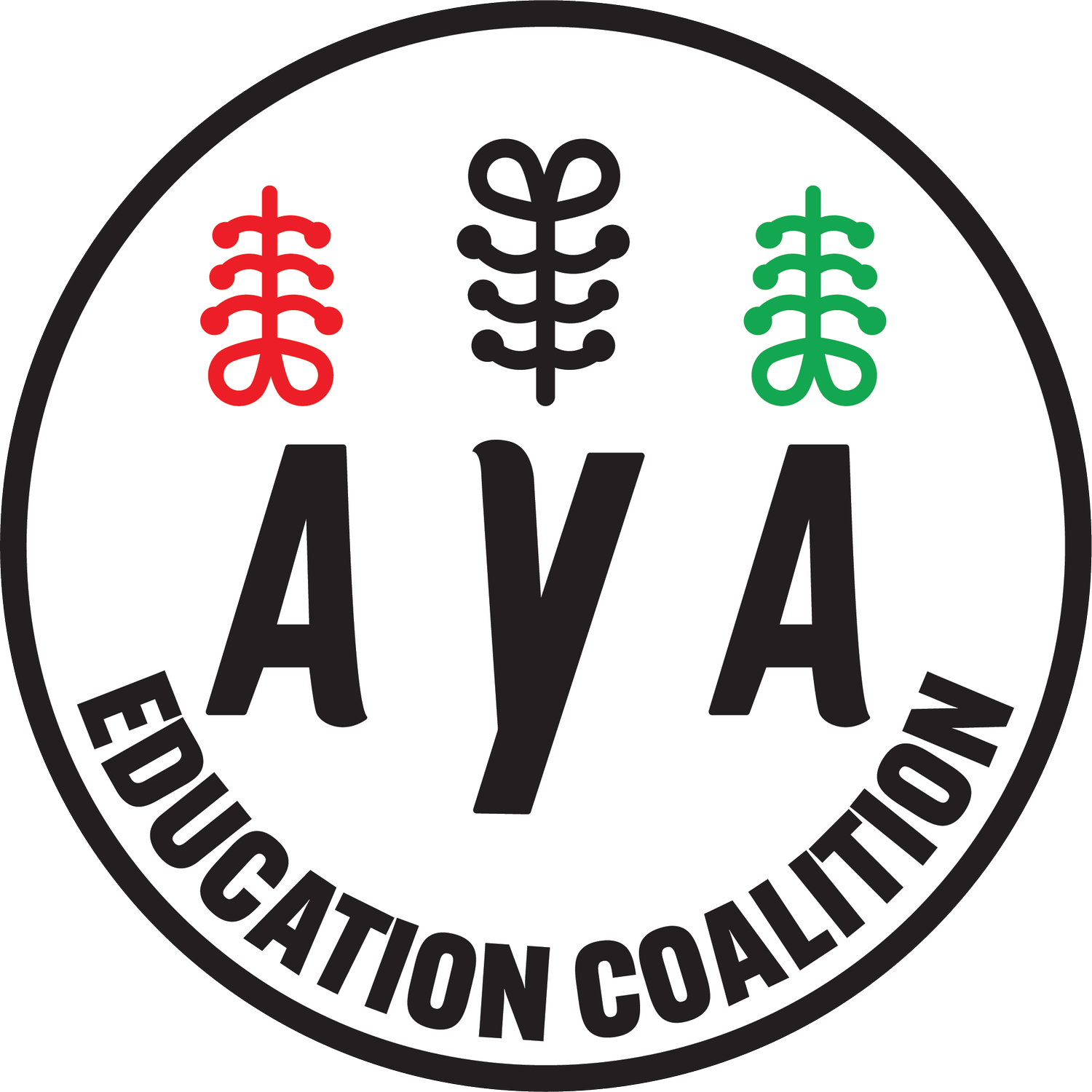 Aya Education Coalition