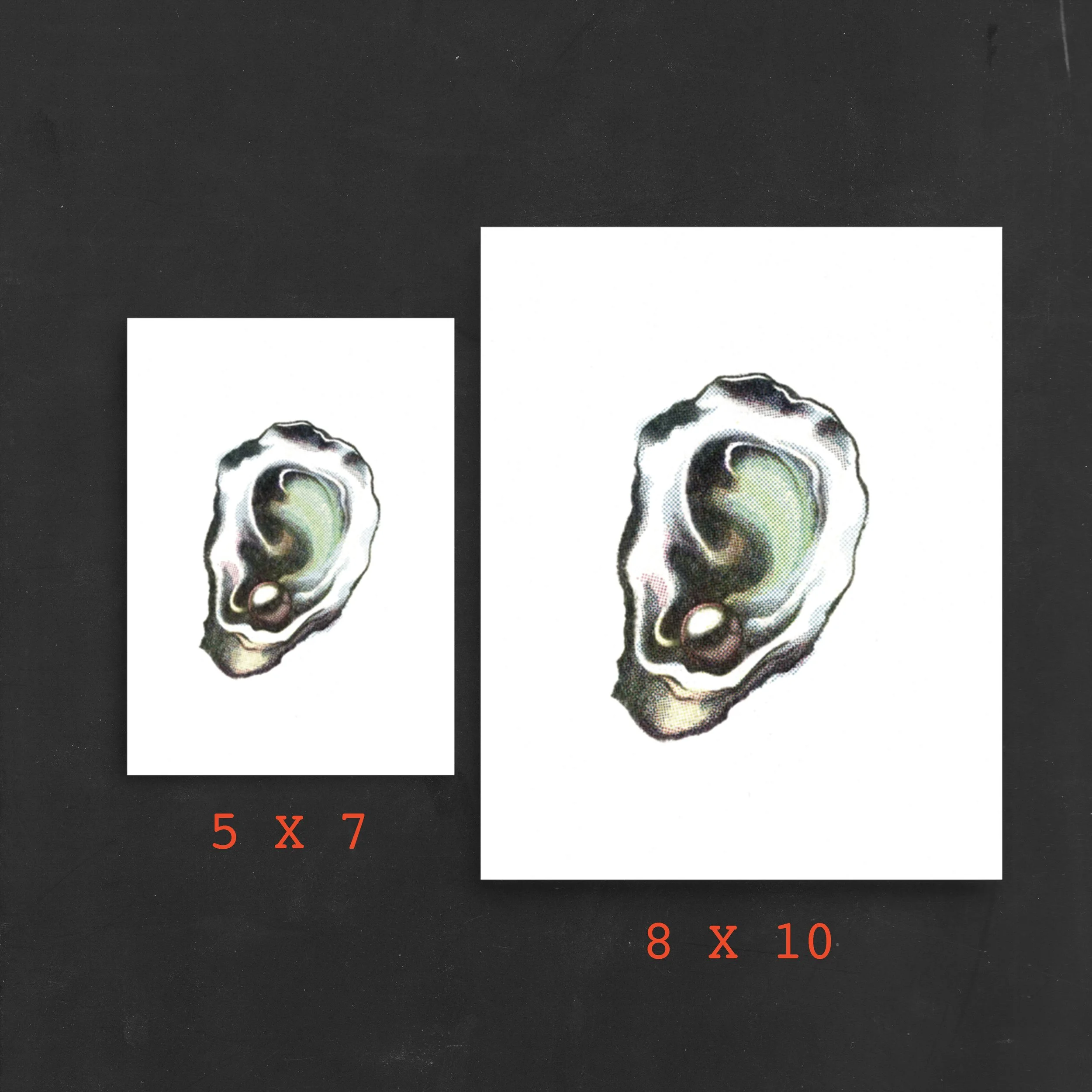 earoyster_mockup_2.jpg