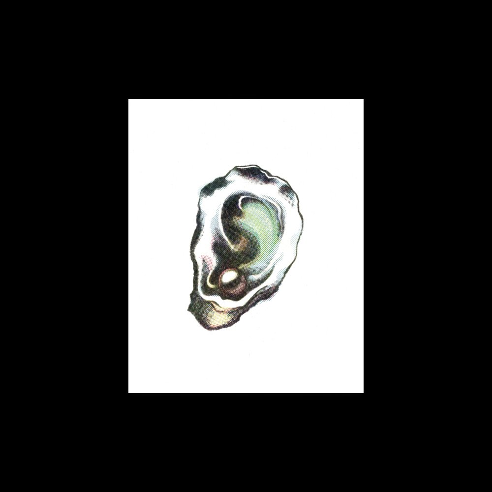 earoyster_mockup_1.jpg