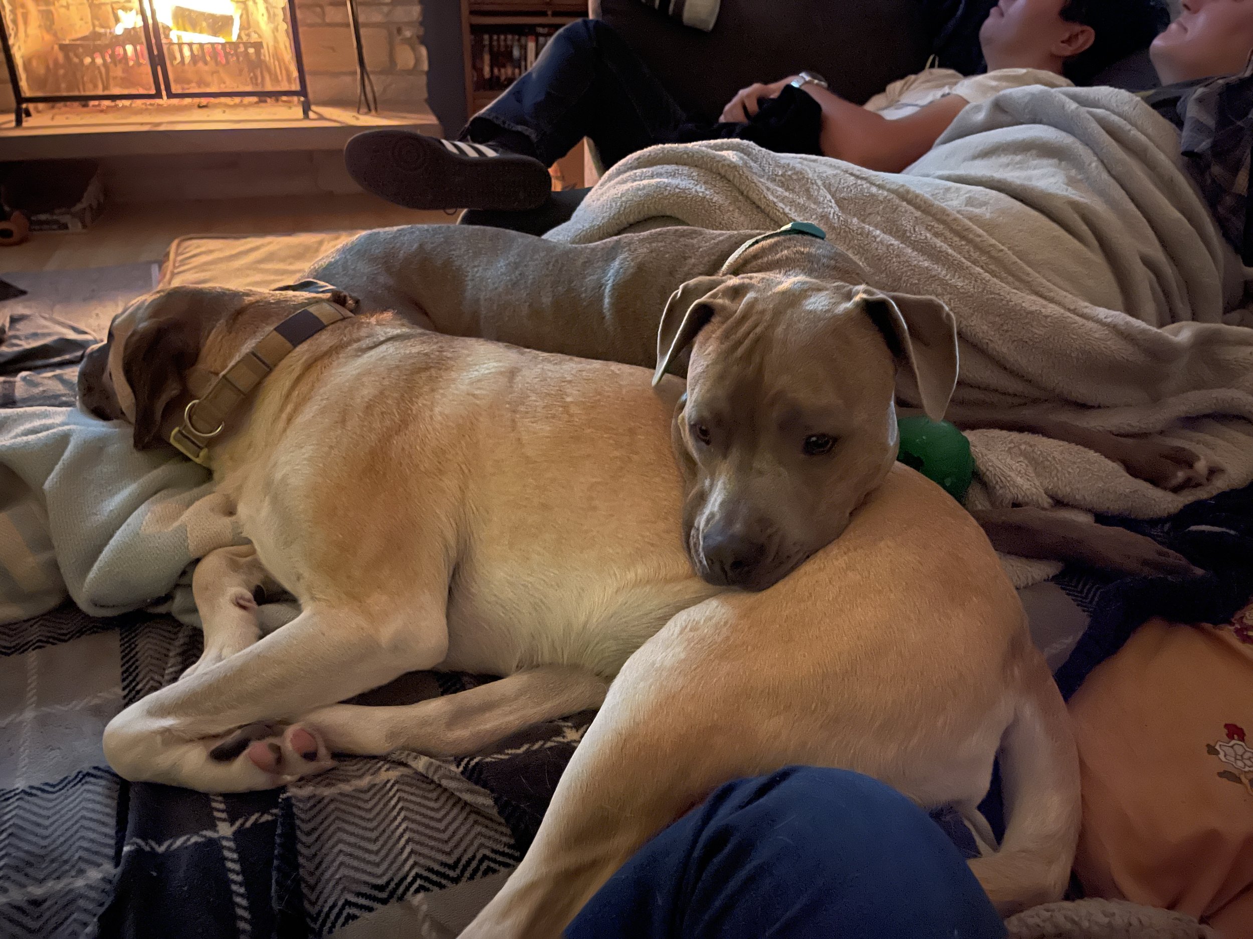 I must touch Gracie Lou while we enjoy the warm fire!