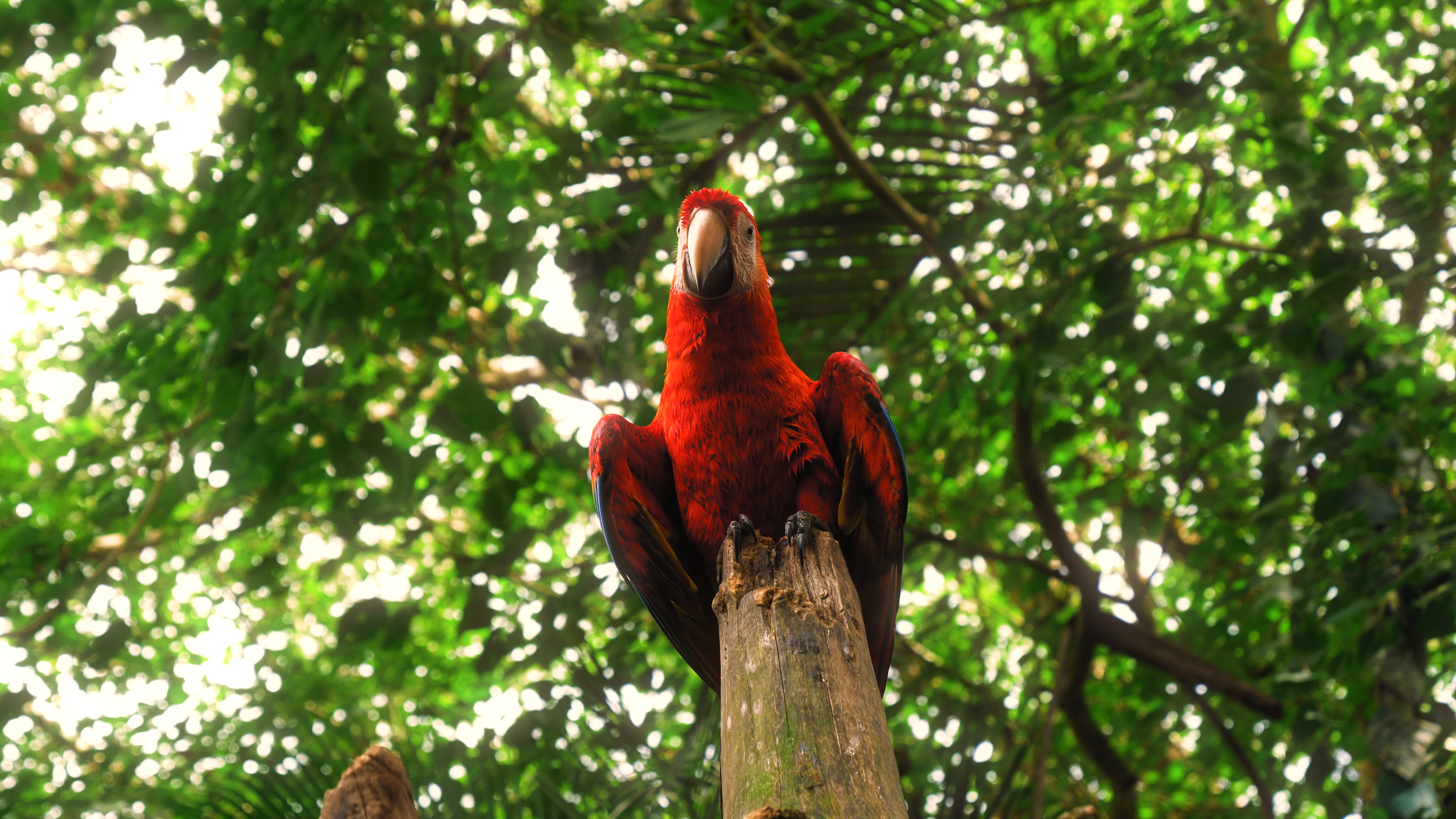 Related Video Item Thumbnail