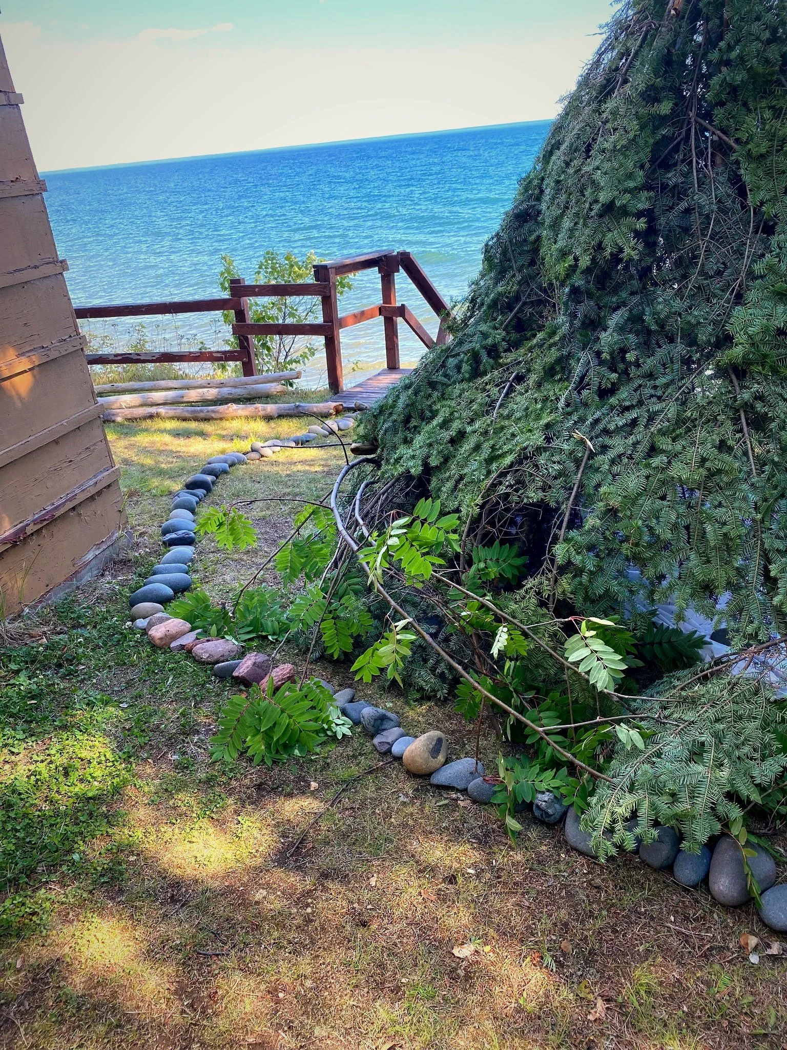 View of a beach with a wooden railing and stairs leading down to the shore, viewed from a grassy area with a border of colorful stones, next to a large coniferous tree.