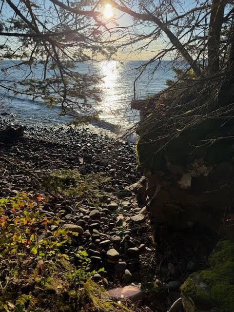 Sunset over a rocky shoreline with trees and moss-covered rocks, overlooking the ocean.