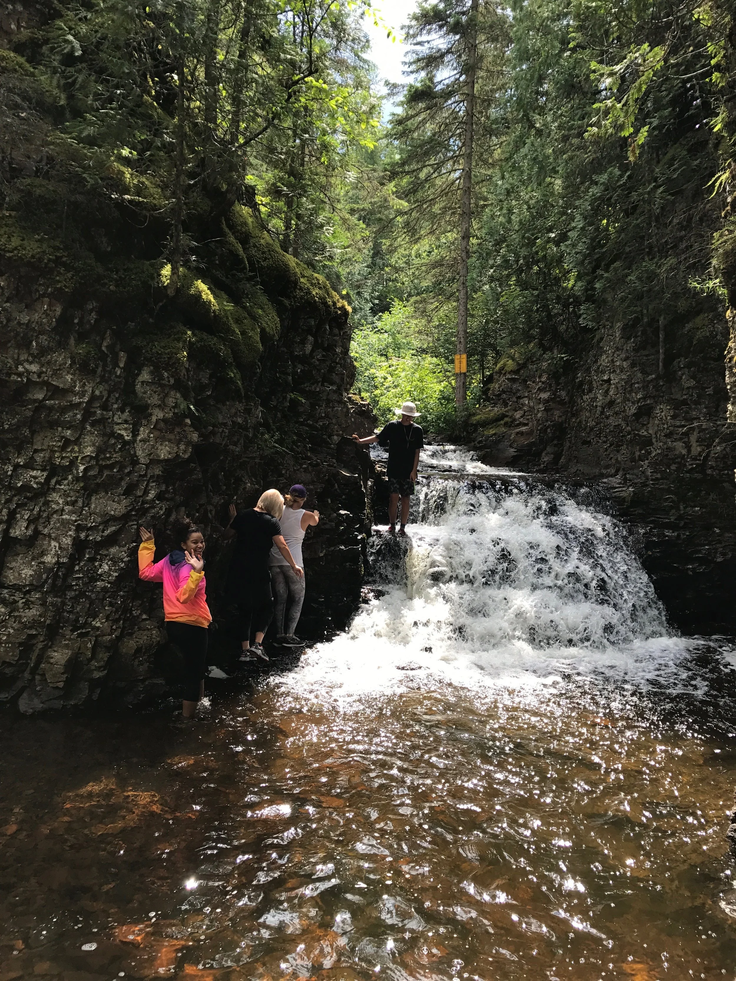 Four people exploring a small waterfall in a forested canyon, with rocky walls and tall trees surrounding them.