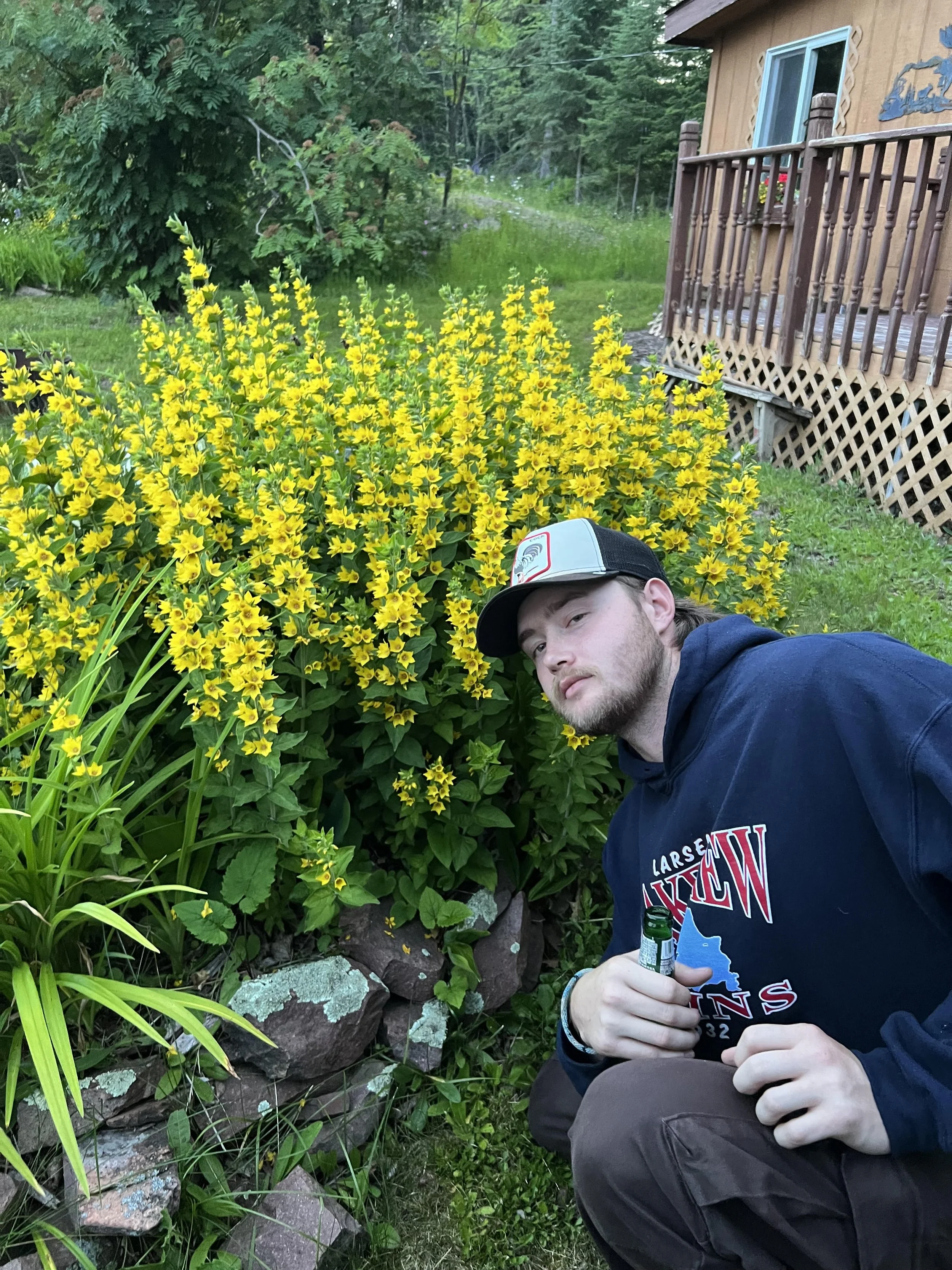 A man crouching next to a large yellow flowering bush in a garden, wearing a dark hoodie and a trucker hat, holding a green bottle.