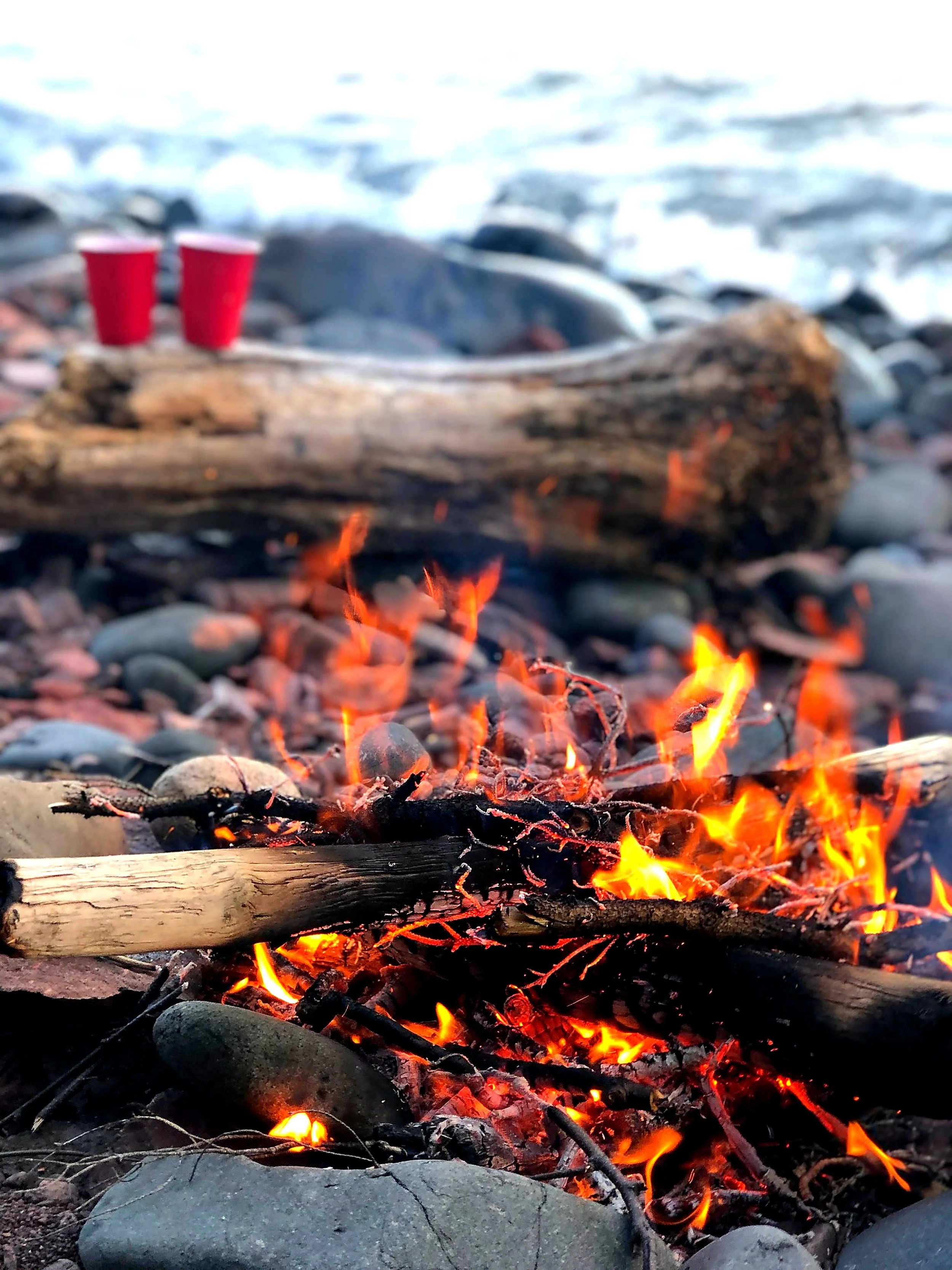 Close-up of a campfire with burning logs and flames on a rocky beach, with two red cups and driftwood in the background near the shoreline.