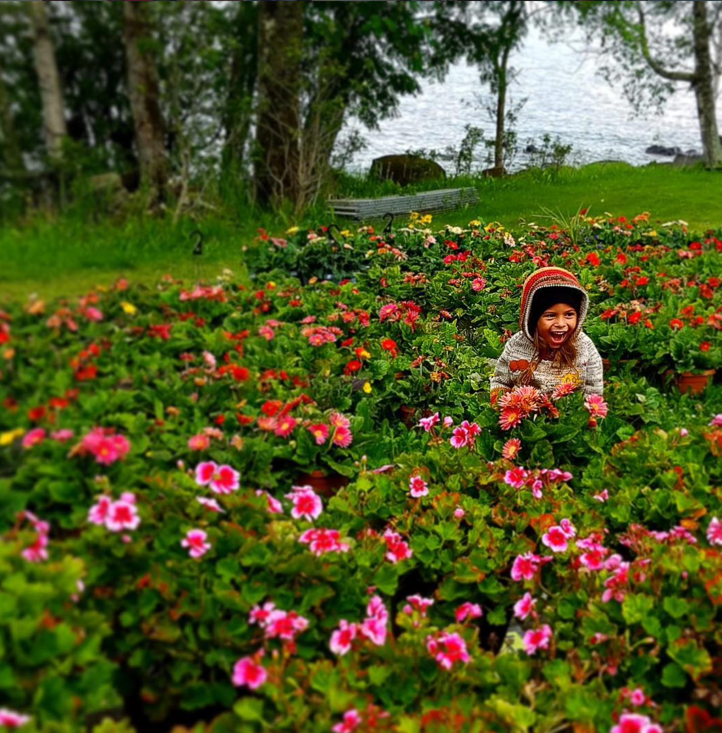 A young girl with a hat, smiling and playing among vibrant pink and orange flowers in a garden near a body of water, with trees and a bench in the background.
