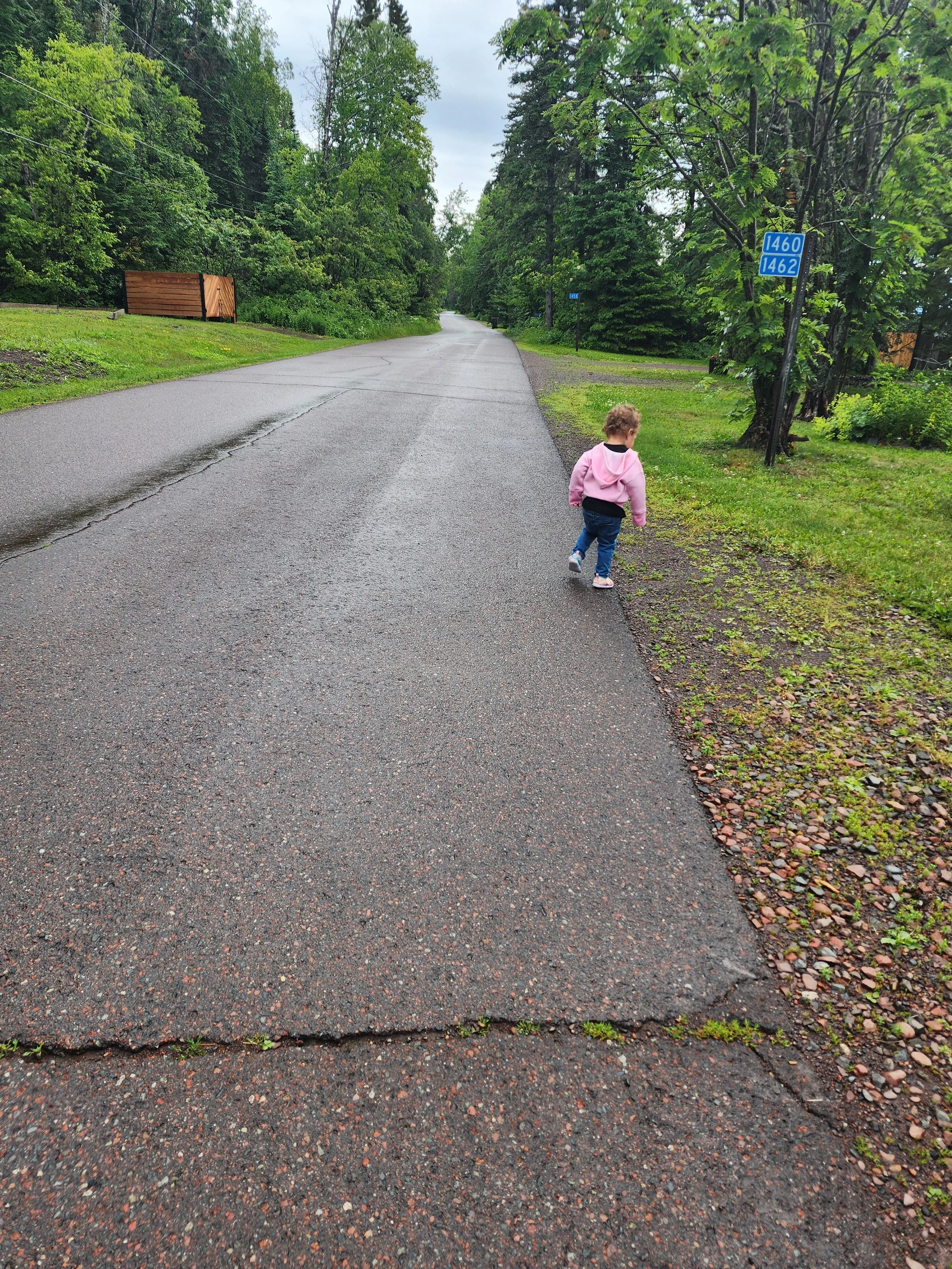 A young girl with curly blonde hair wearing a pink hoodie, blue jeans, and sneakers walking along a wet asphalt road lined with green trees and grass on a cloudy day.