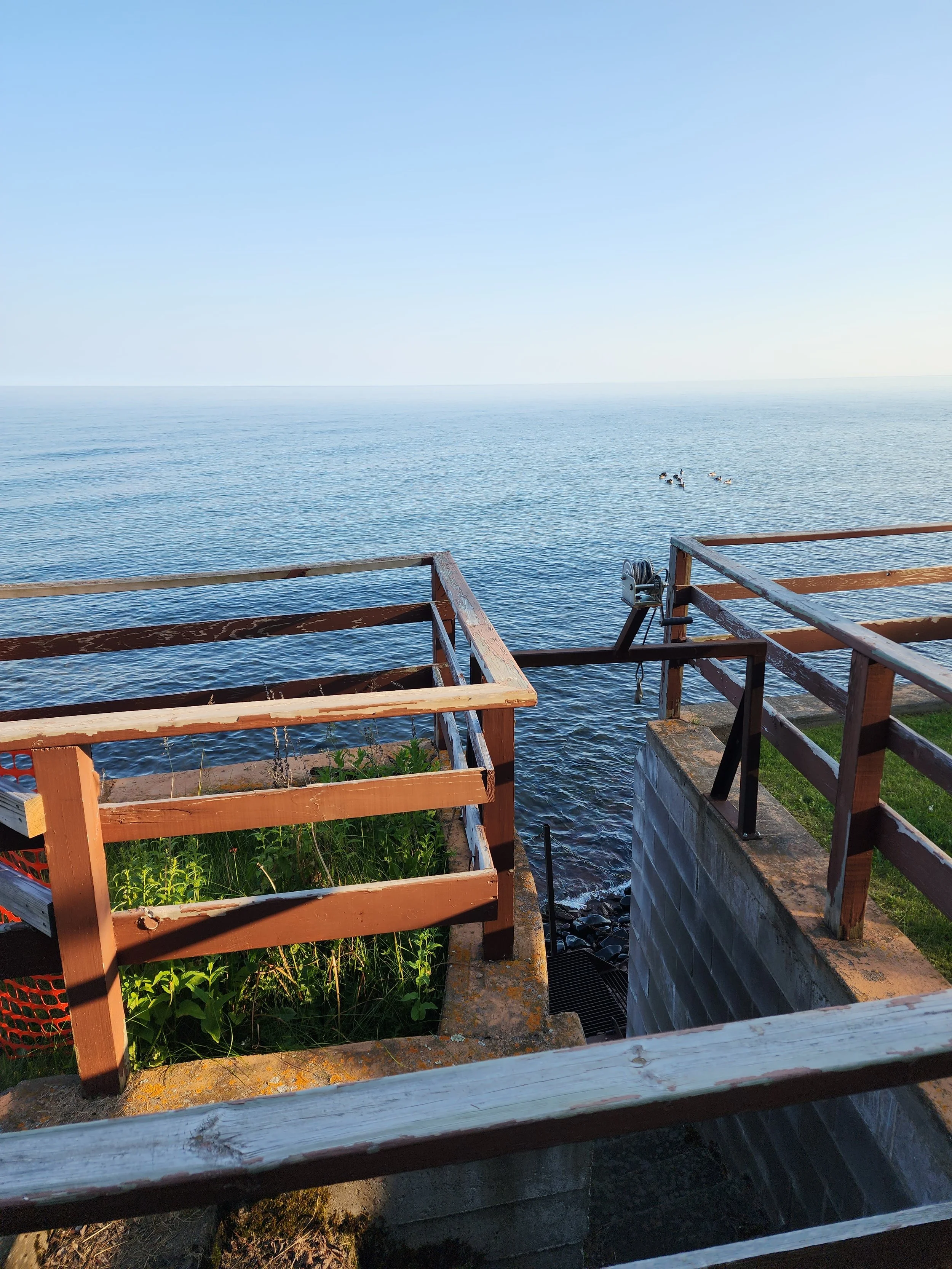 A view of the ocean from a wooden deck with railings, some greenery below, and a few ducks swimming in the distance under a clear sky.