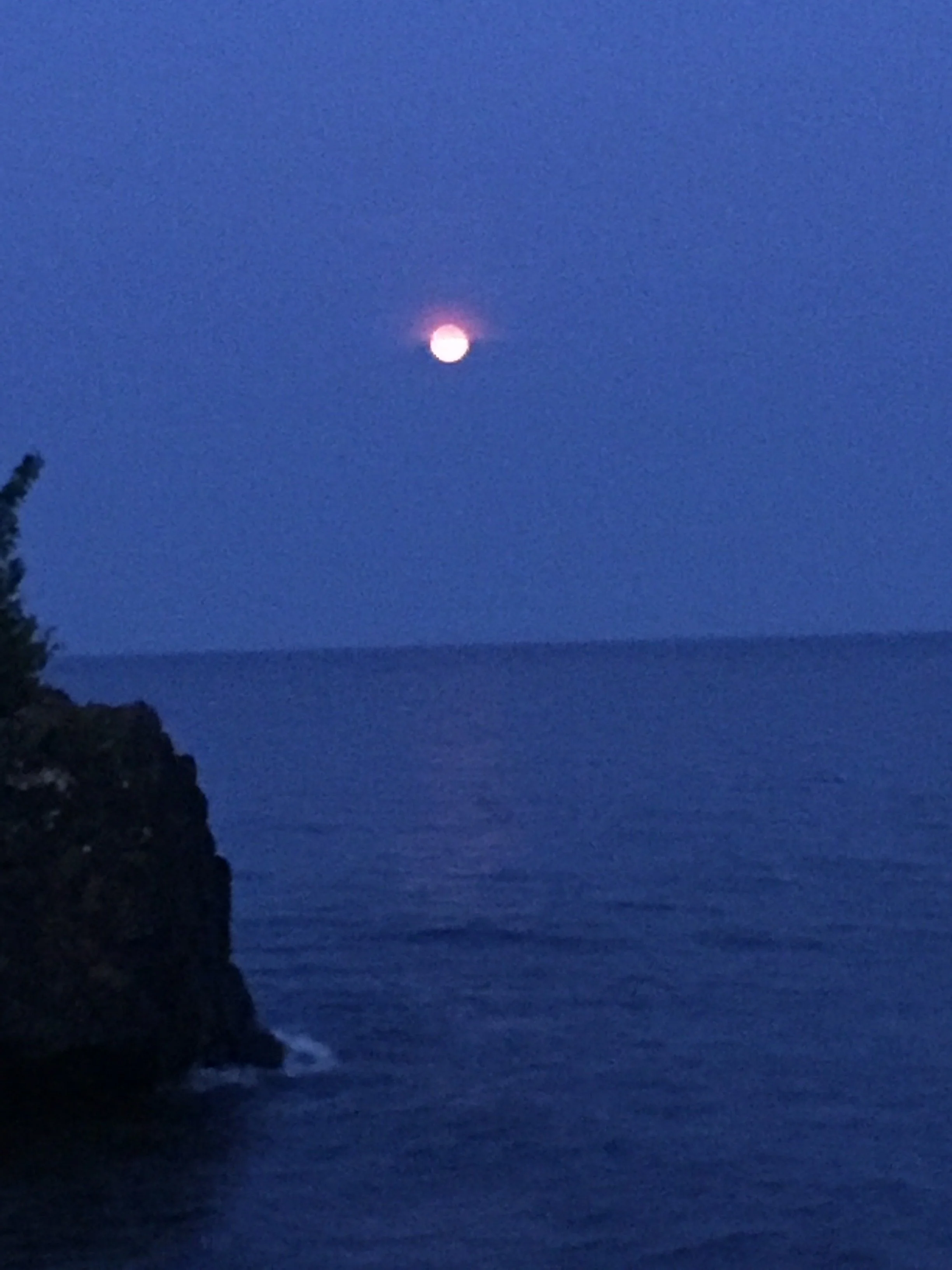 Nighttime scene of a large, bright full moon in a dark blue sky over the ocean, with a silhouette of a rocky cliff and some foliage on the left.