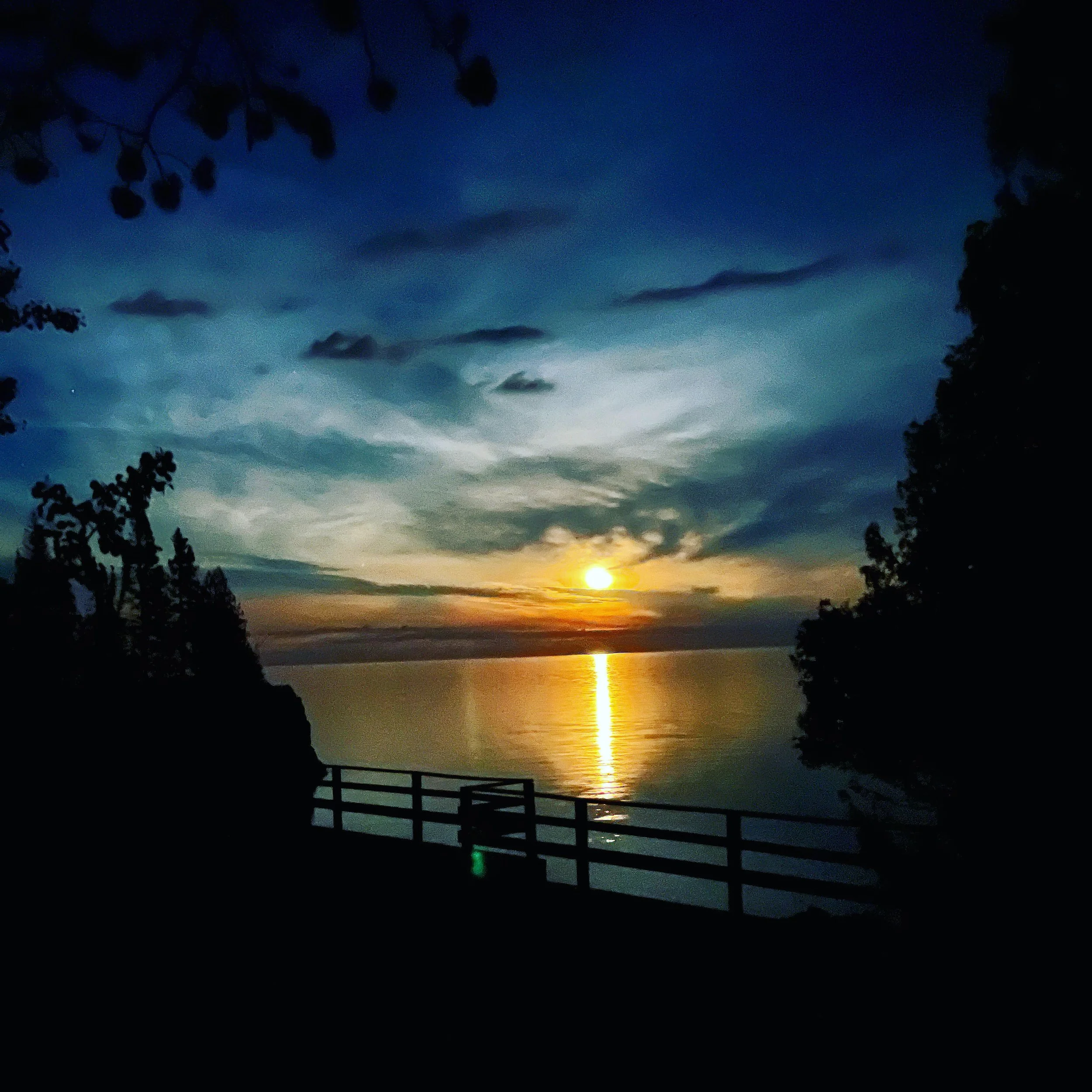 Sunset over a body of water with silhouettes of trees and a fence in the foreground.