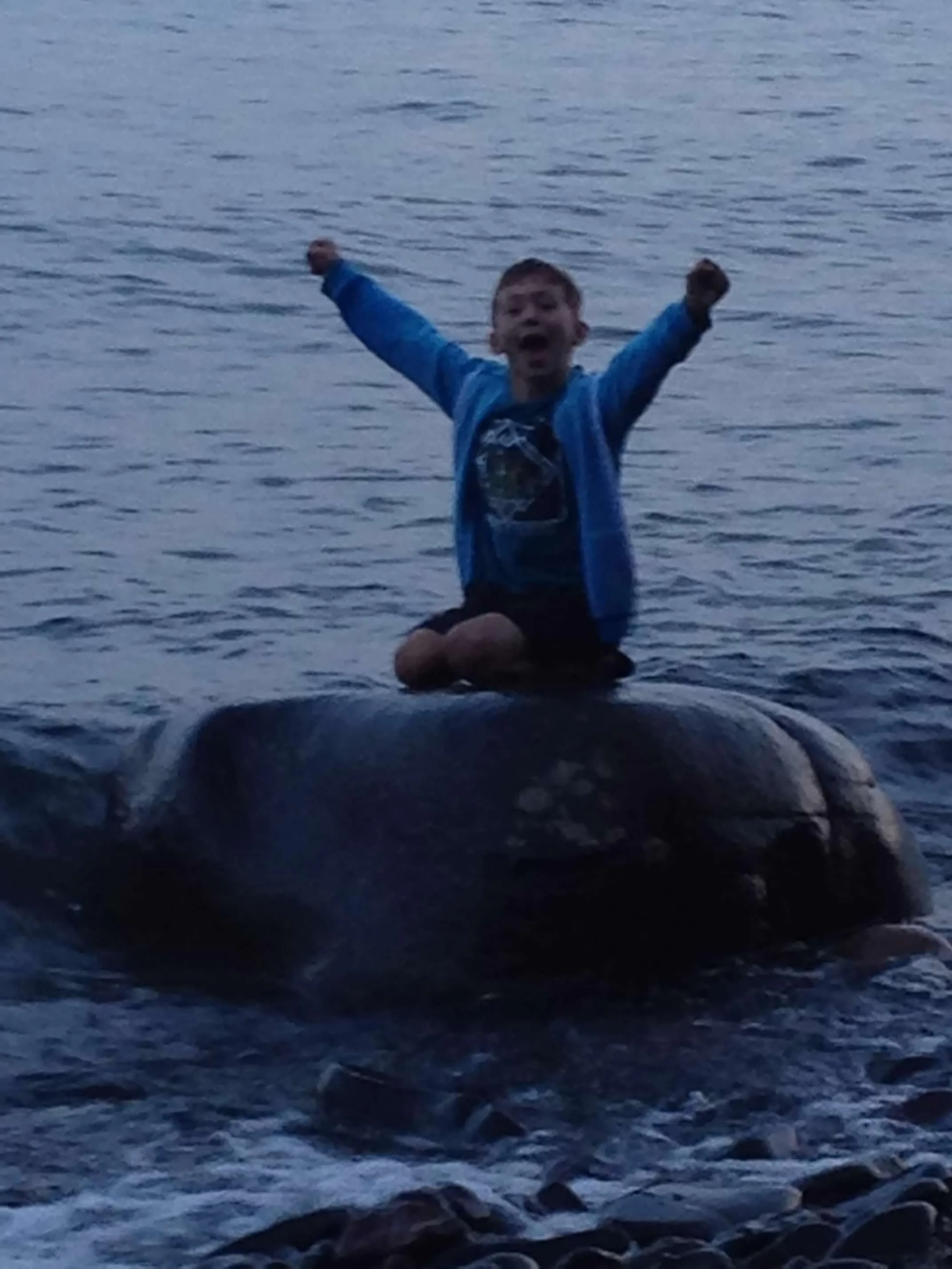 A young boy with arms raised in excitement, sitting on a large, dark rock in the water near the shoreline.