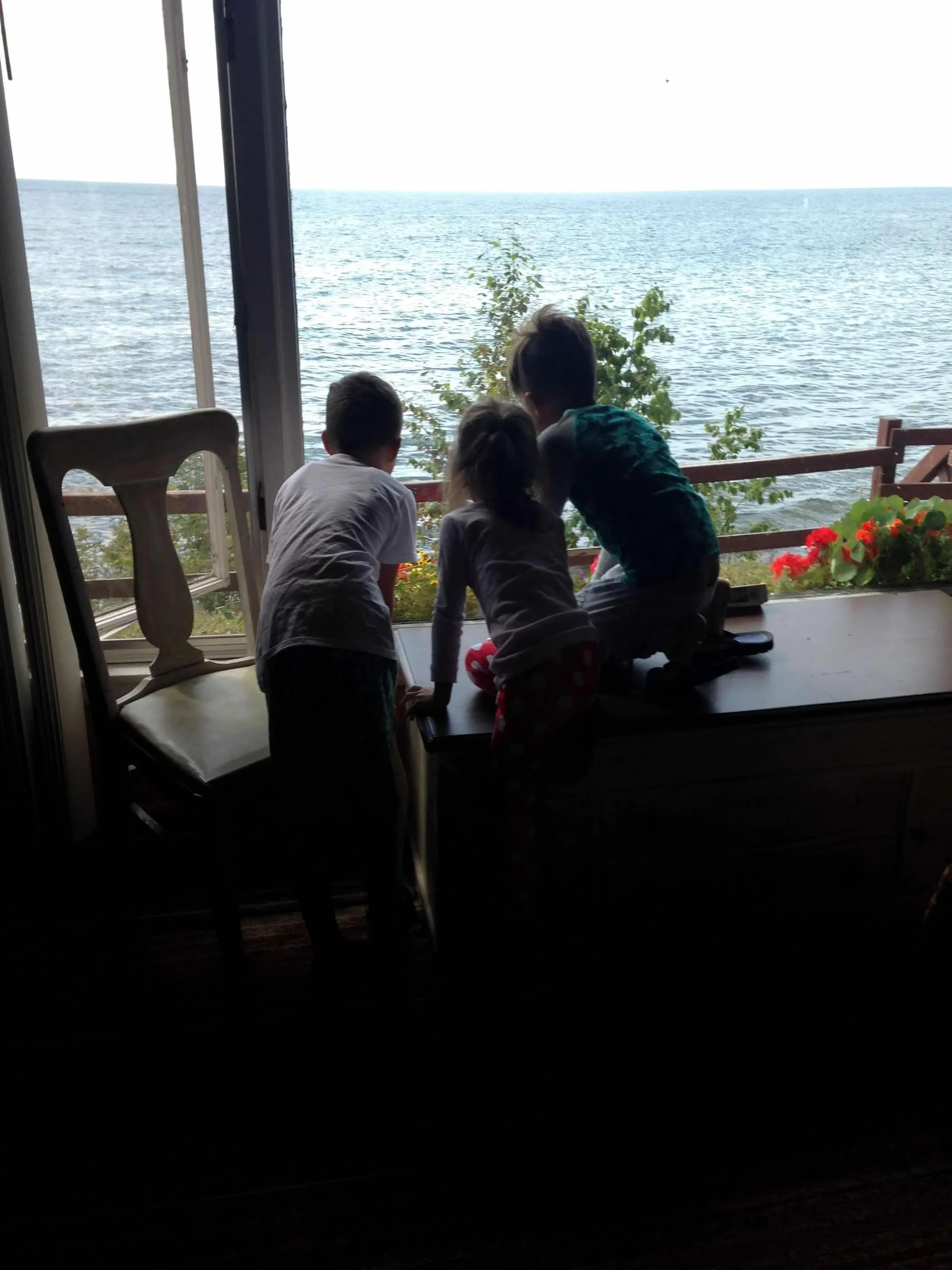 Four children sitting and standing on a window seat, looking out at a large body of water with trees and a small garden with red flowers nearby.