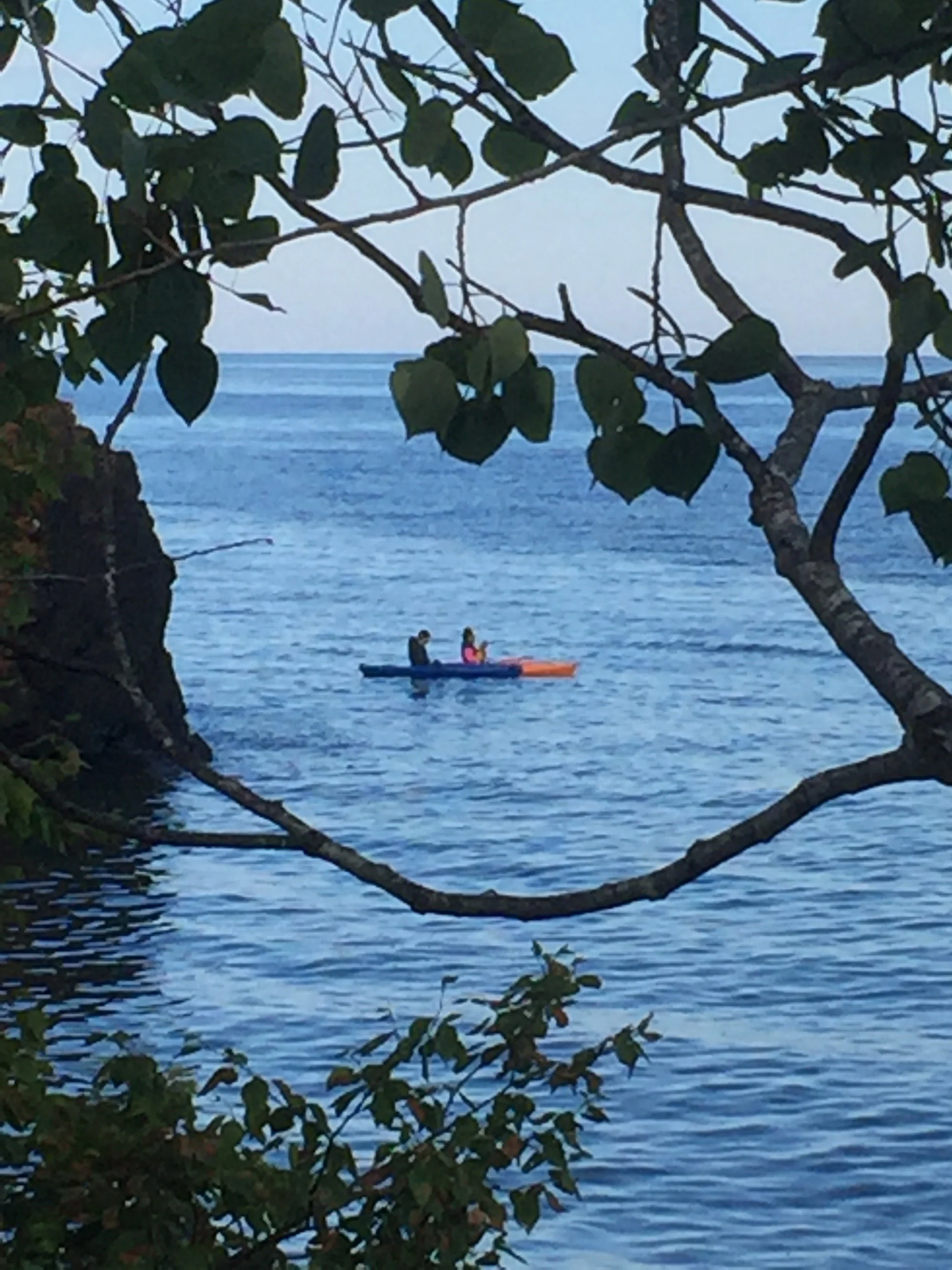 A person and a child kayaking on the water near a small rocky shoreline, framed by leafy branches in the foreground.