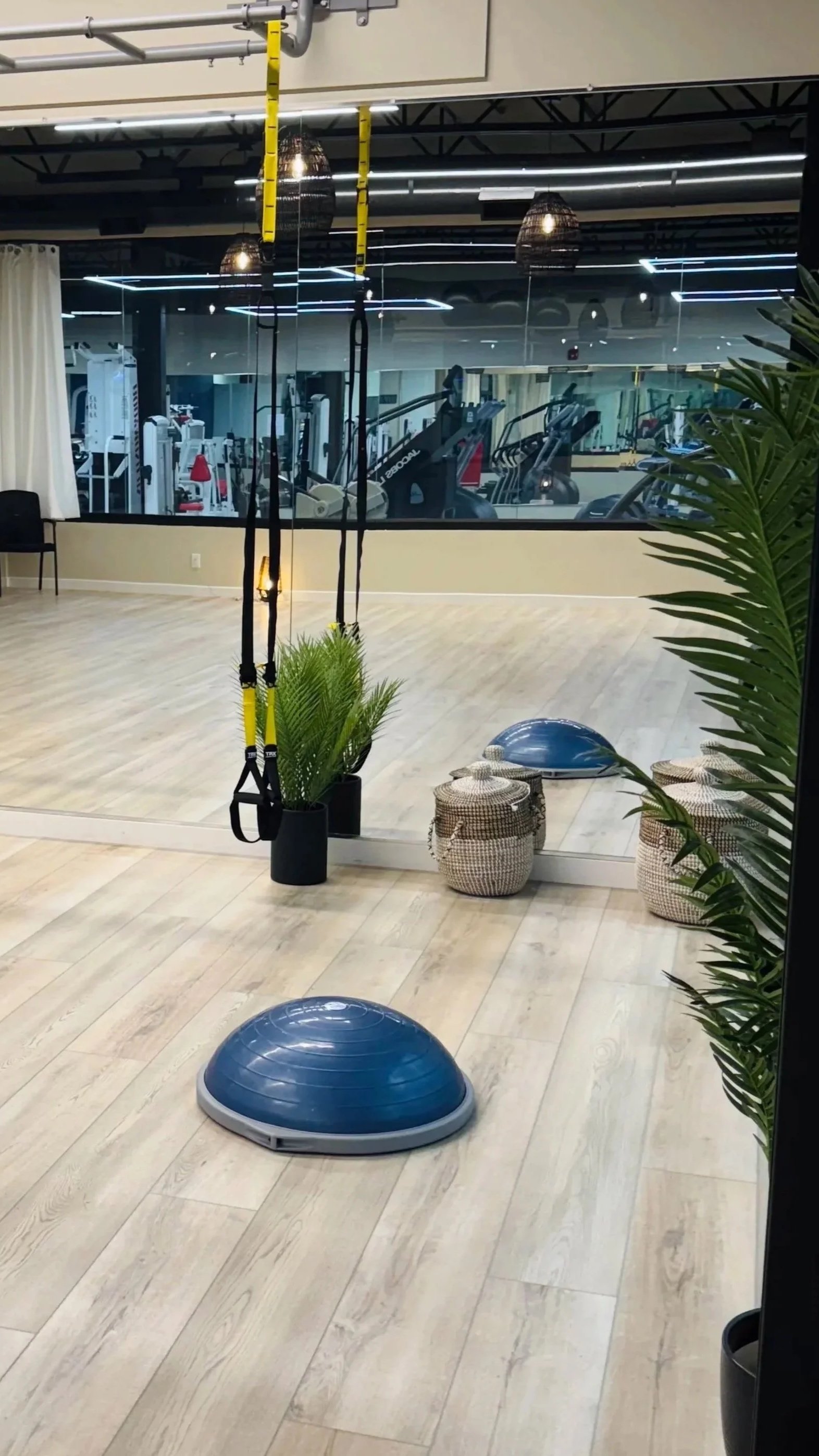 An indoor gym with wooden flooring, potted plants, and exercise equipment visible through a glass wall, including treadmill and elliptical machines, with meditation balls, baskets, and yellow and black suspension straps in the foreground.