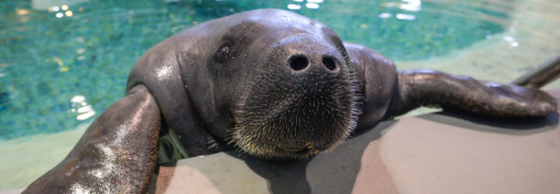 Screenshot 2026-01-27 161025.png