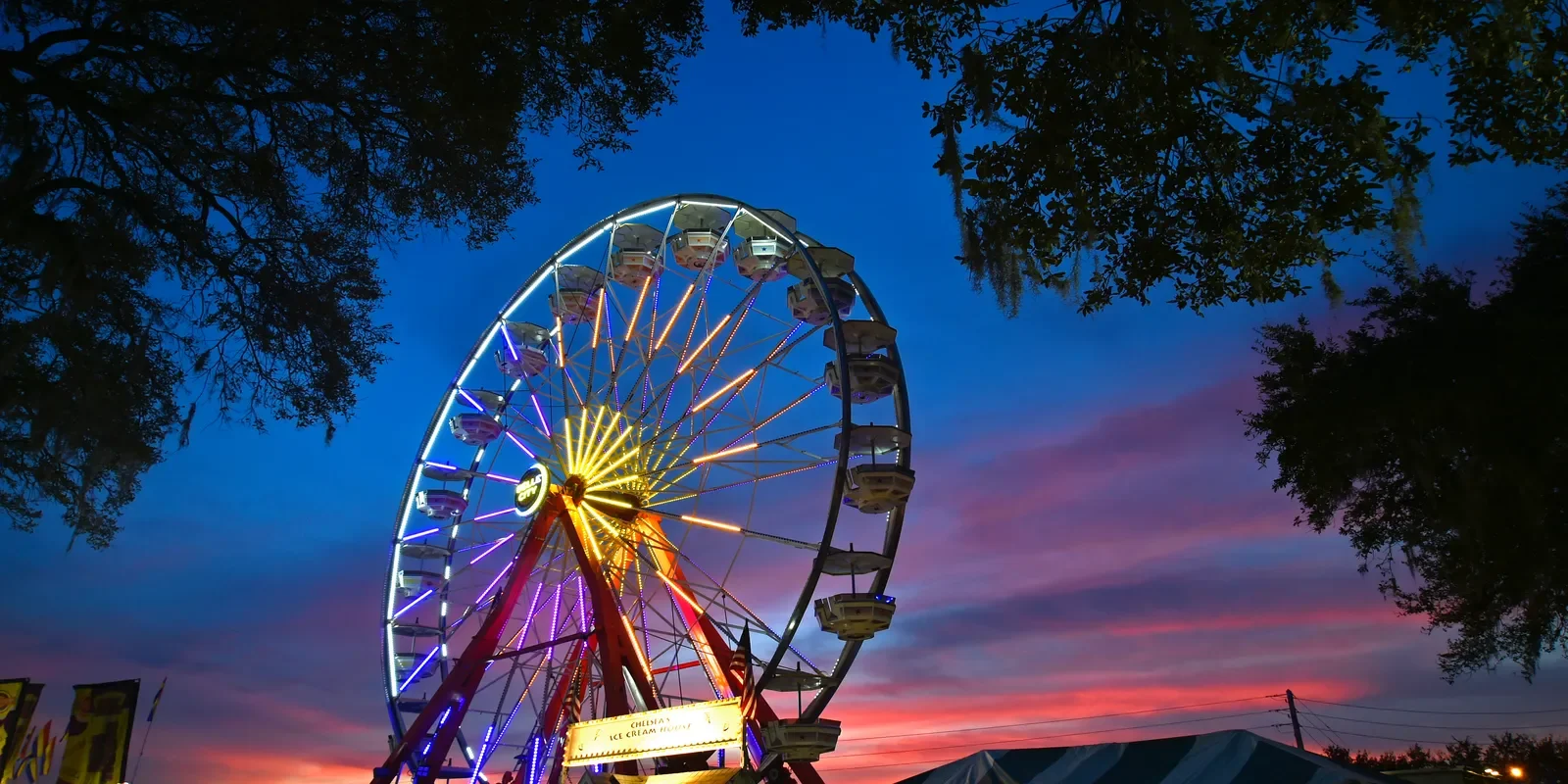 manatee county fair.webp