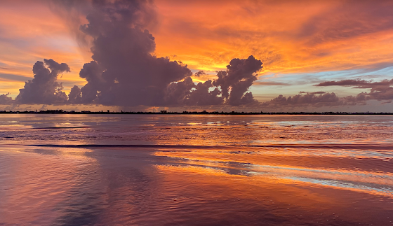 Manatee county beach view.png