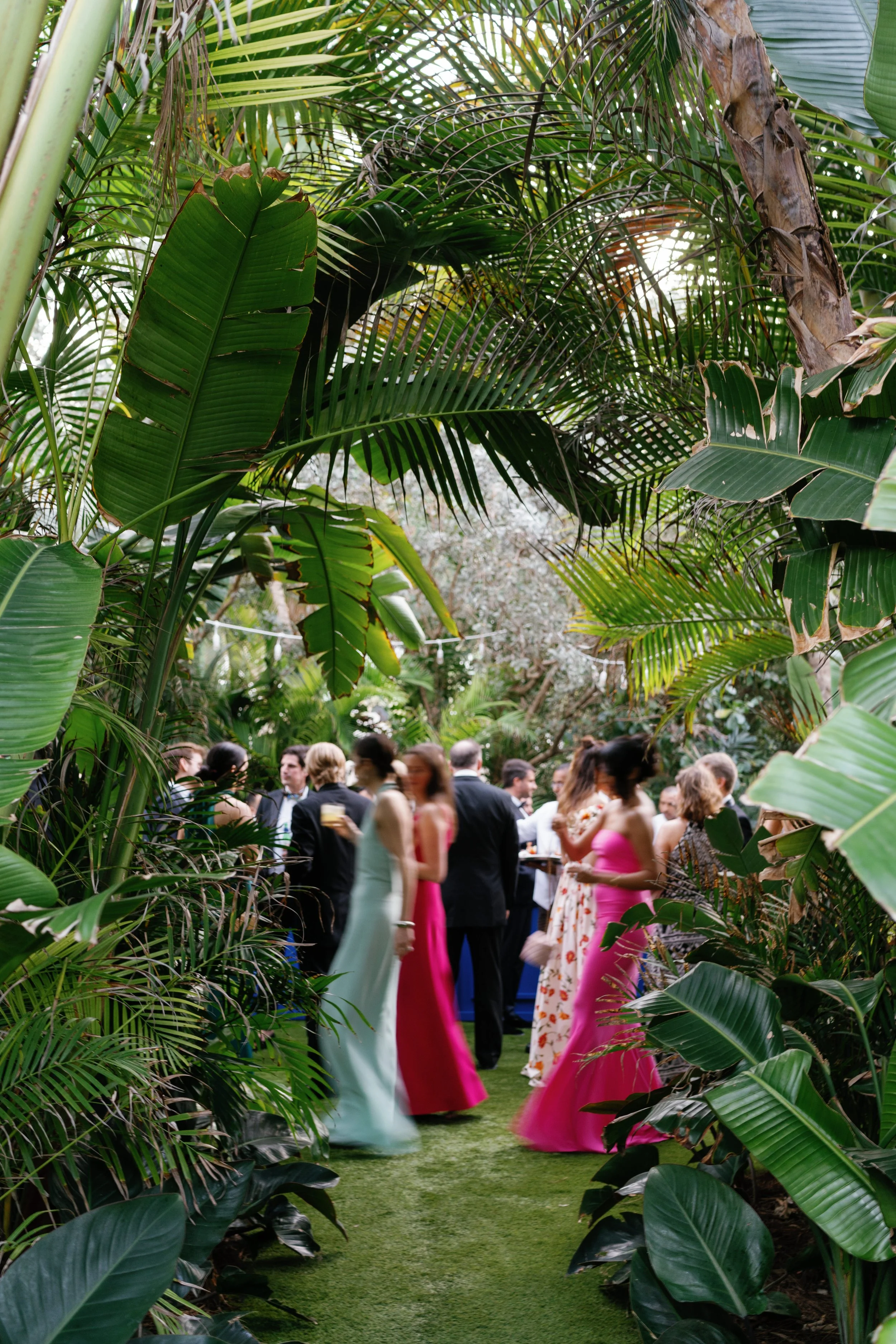 Guests in formal attire mingling and chatting at a garden party, viewed through lush tropical green foliage.