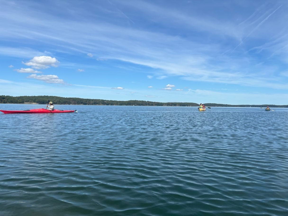 Gratitude in the Tides