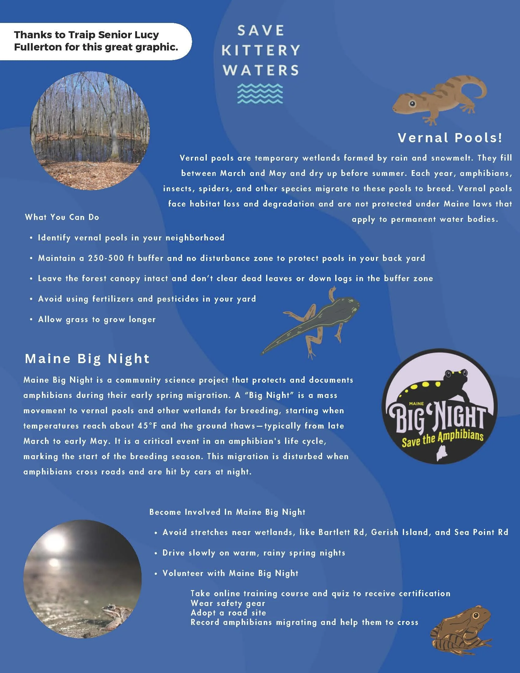 A Big Night For Little Critters