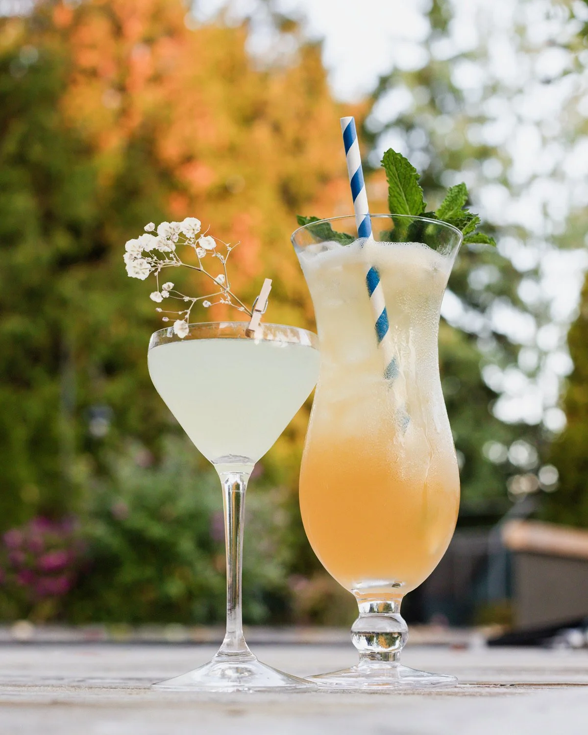 Two tropical cocktails, one in a martini glass decorated with white flowers and the other in a hurricane glass with mint leaves and a striped straw, set outdoors with autumn foliage in the background.