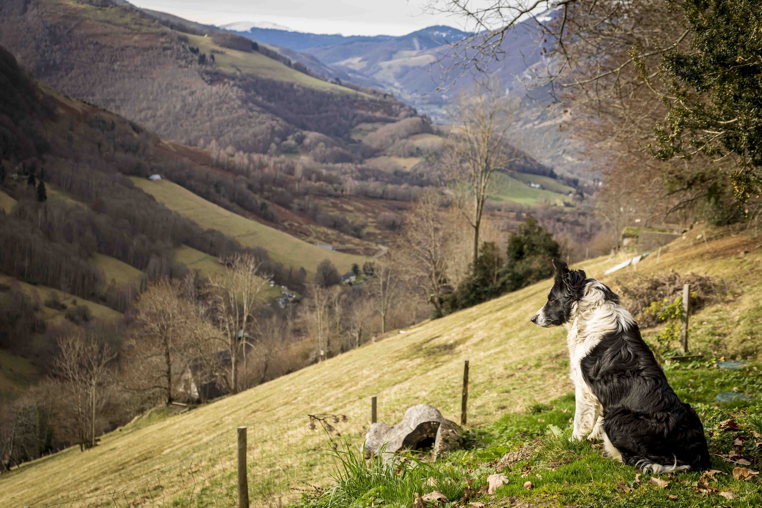 Foto- anouchka_olszewski_www.aeo-fotografie.de-3807.jpg