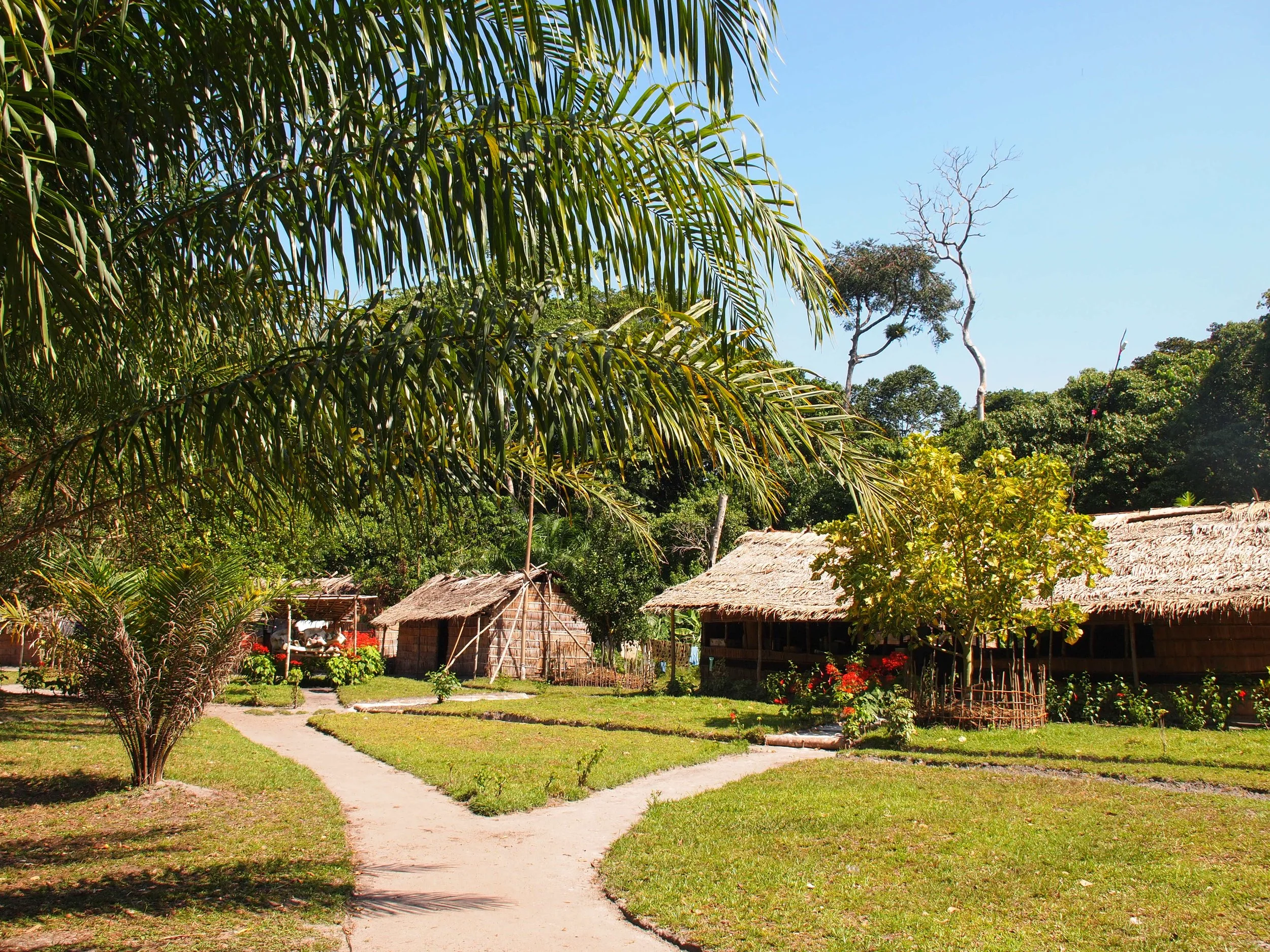 A former&nbsp;poaching camp transformed:&nbsp;Etate&nbsp;evolves&nbsp;into&nbsp;an&nbsp;established&nbsp;research&nbsp;station&nbsp;