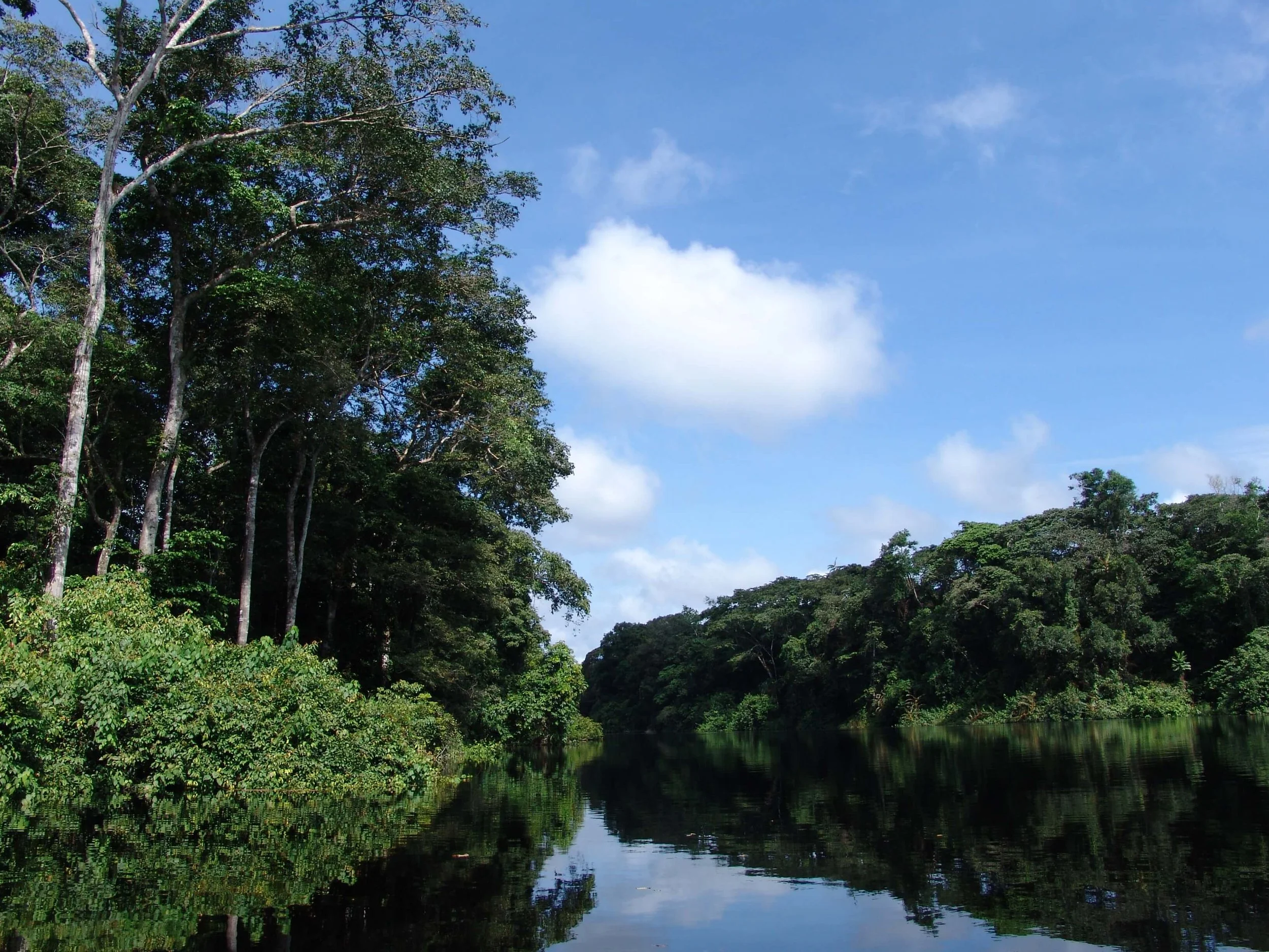 Green corridor Hi Res.jpg