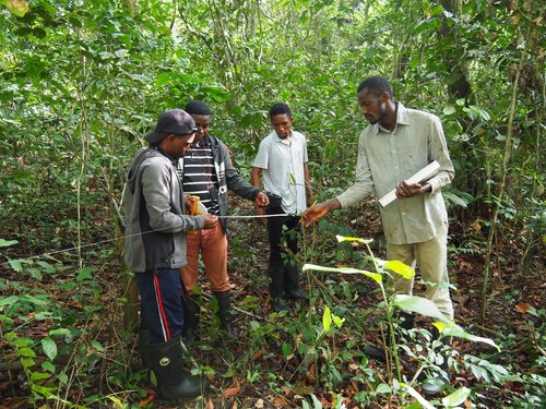 Survey training