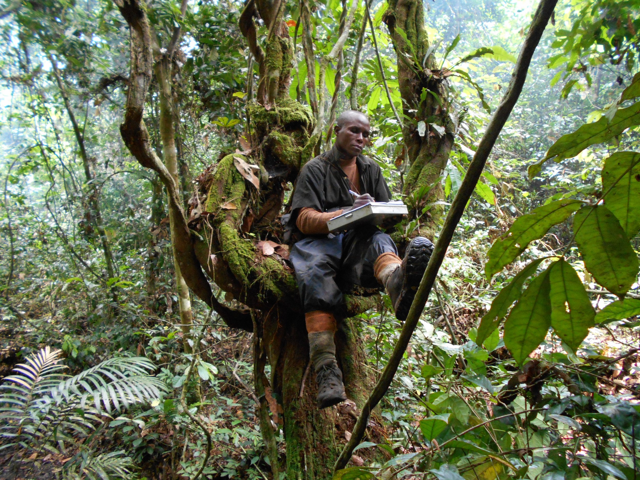 Field team member during survey