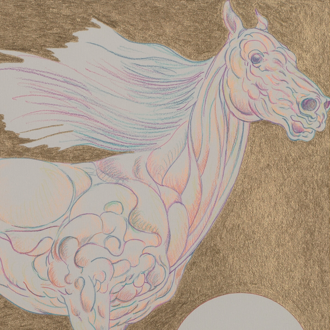 Esquisse - Guillame Azoulay.png