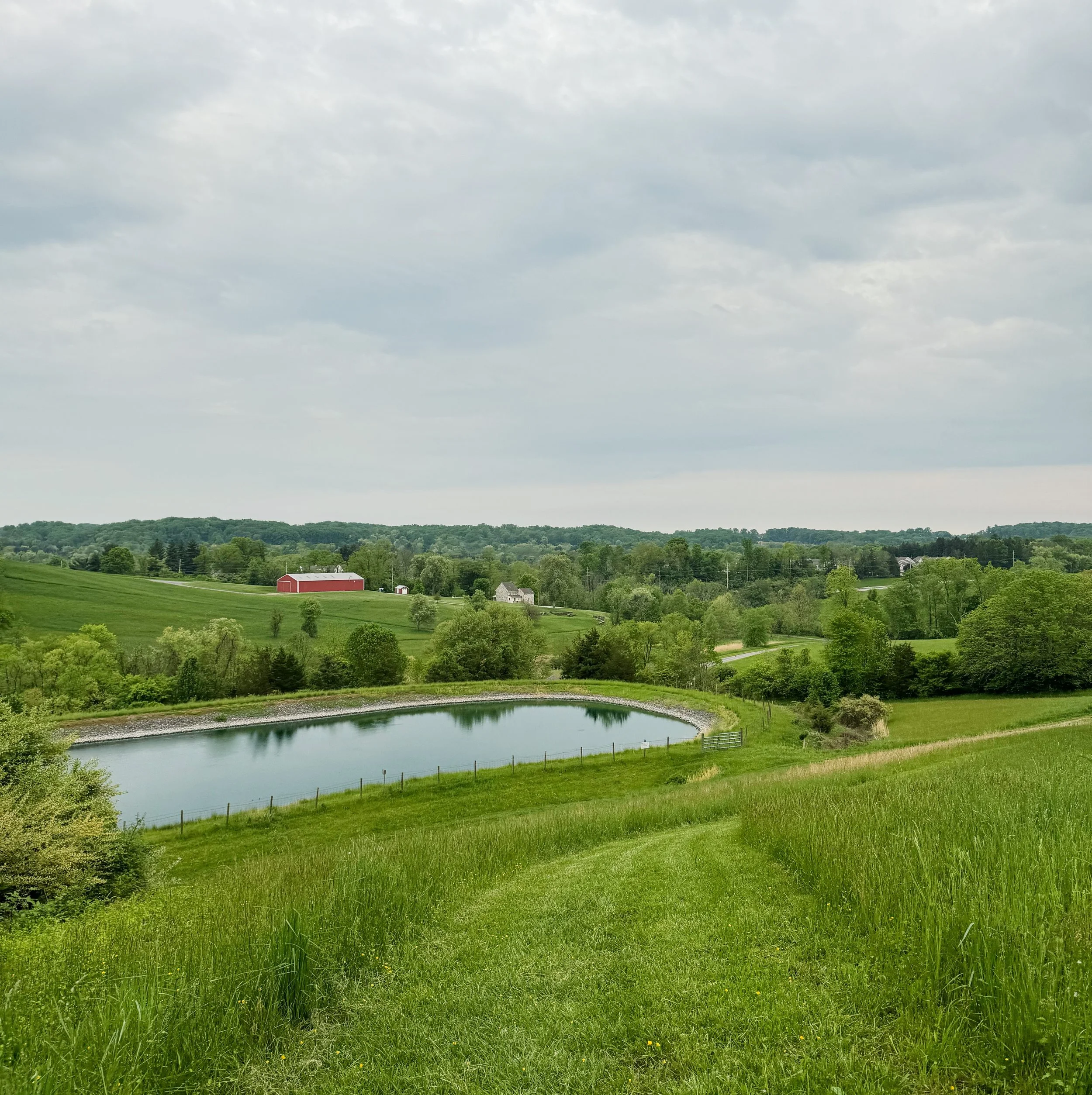 AF070858-5160-4EB9-B444-2EA869F1DB2A.jpeg