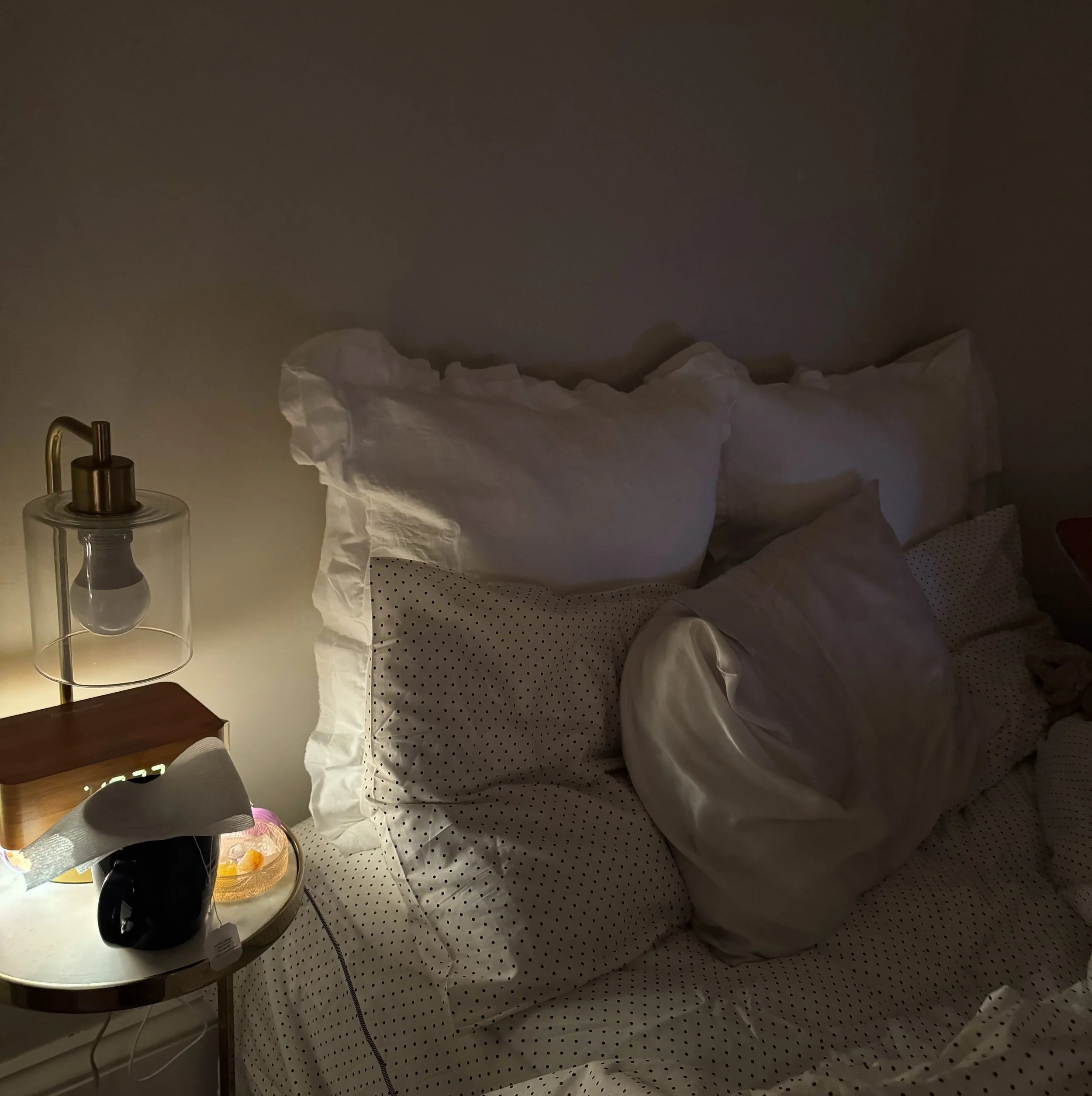 037EBC2F-3B6C-40F0-BAEF-3A9D2855C8A8.jpeg