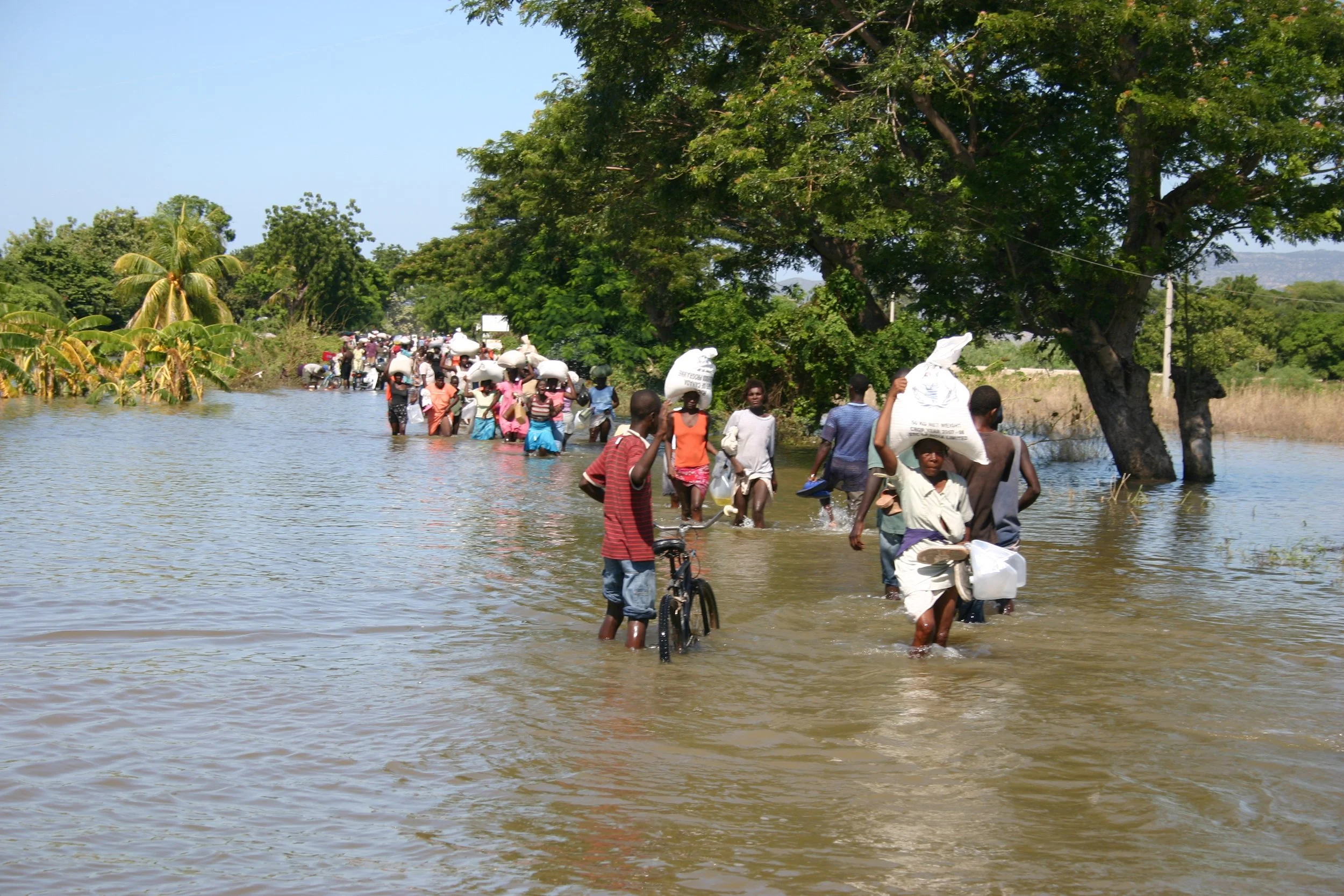 Emergency Response in Haiti (January 2010, Earthquake)