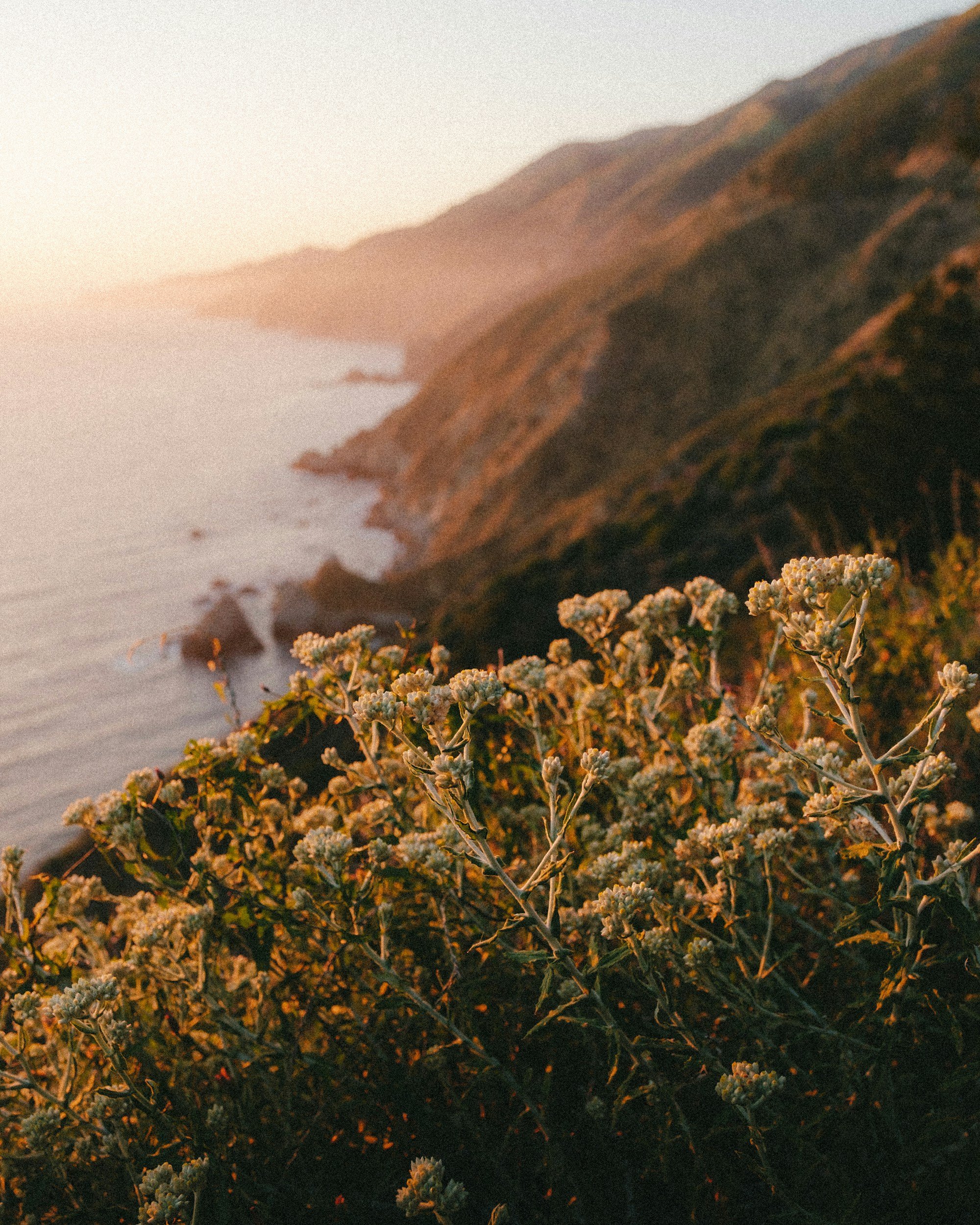 Trauma and Anxiety Therapy Los Gatos, CA Megan Bathen-Gonzalez Psychotherapy LMFT