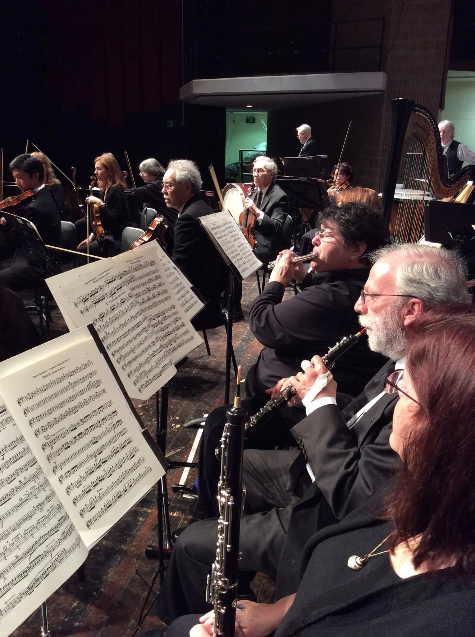 An orchestra performing on stage with musicians playing violins, clarinets, and flutes, per the sheet music in front of them.