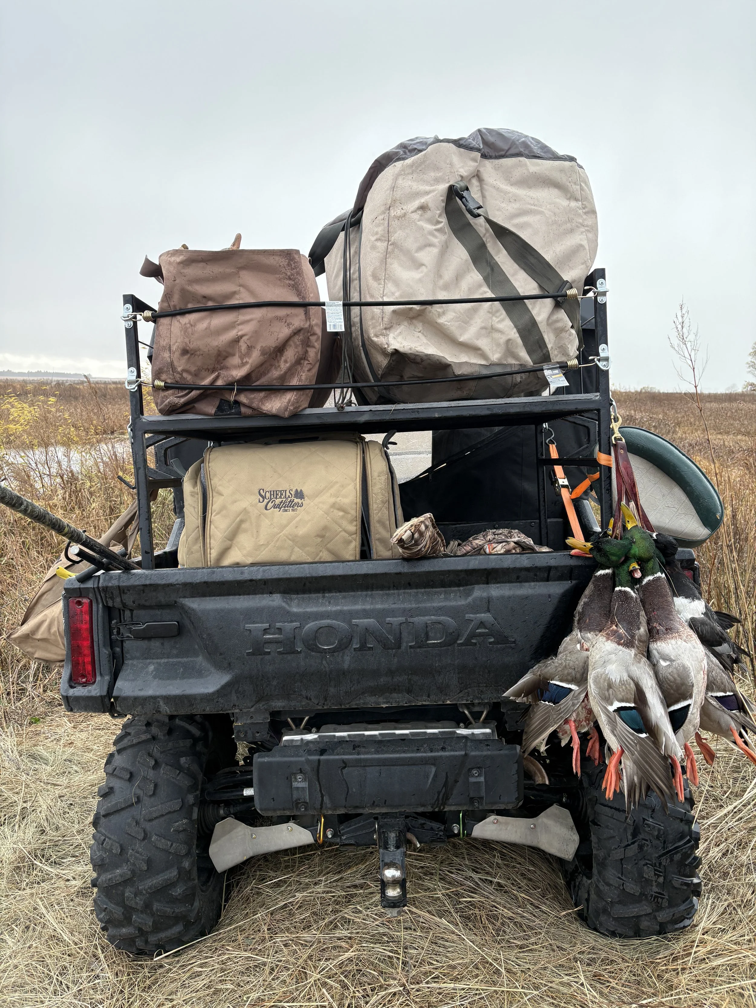 A Honda utility vehicle in a marshland field carrying several bags, a cooler, and a hunting rifle, with a string of ducks hanging from the side.