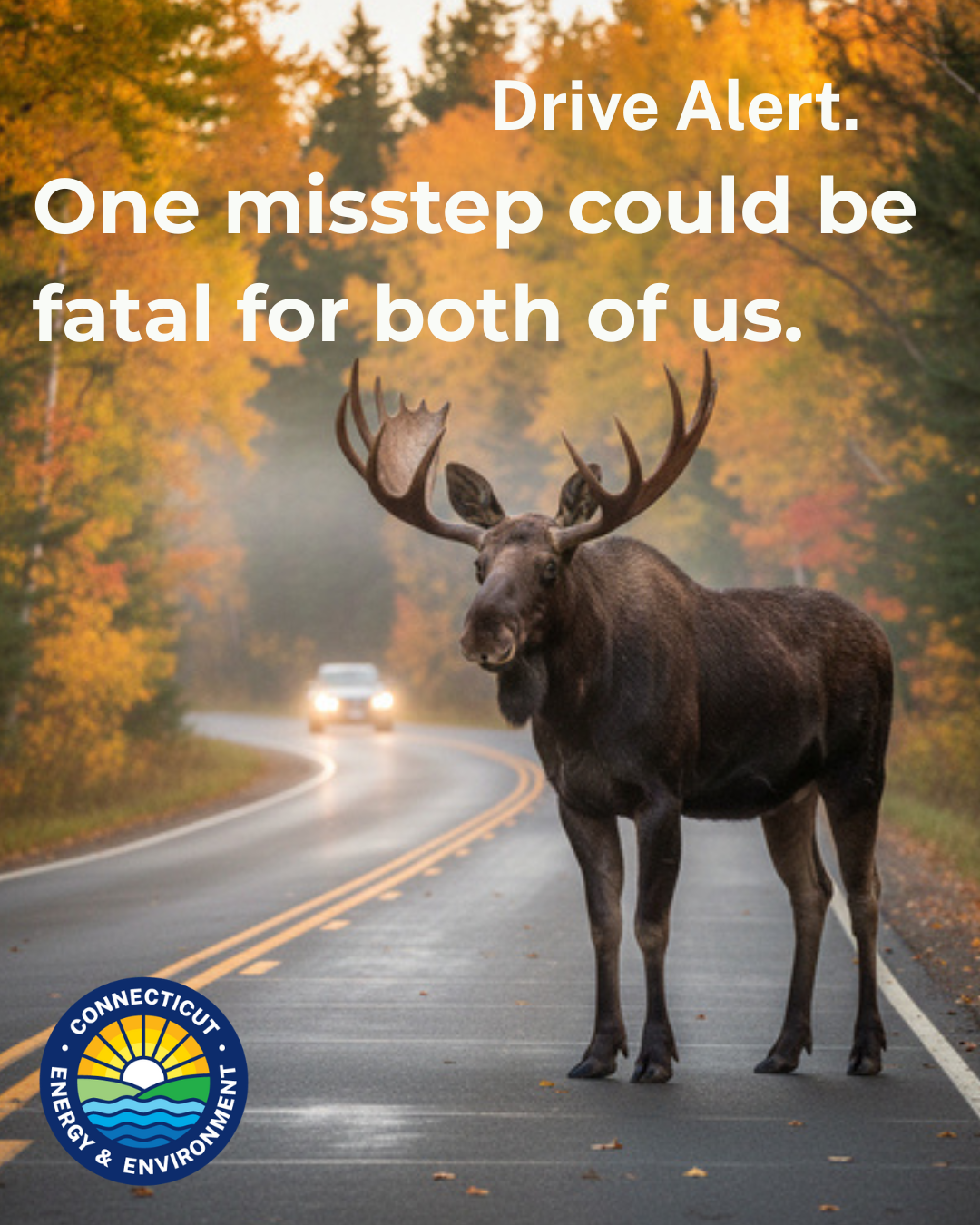 Drive like my life depends on it. Fall nights are my busiest. Be alert..zip - 2.PNG