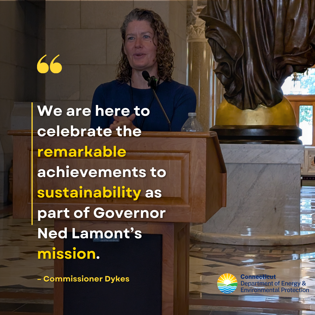 Instagram Post - Honoring Excellence in Environmental Initiatives (1).png
