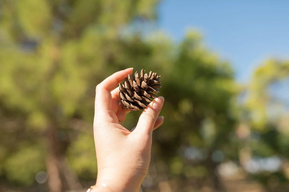 ΠΩΣ ΔΗΜΙΟΥΡΓΟΥΝΤΑΙ ΟΙ ΠΕΠΟΙΘΗΣΕΙΣ ΜΑΣ