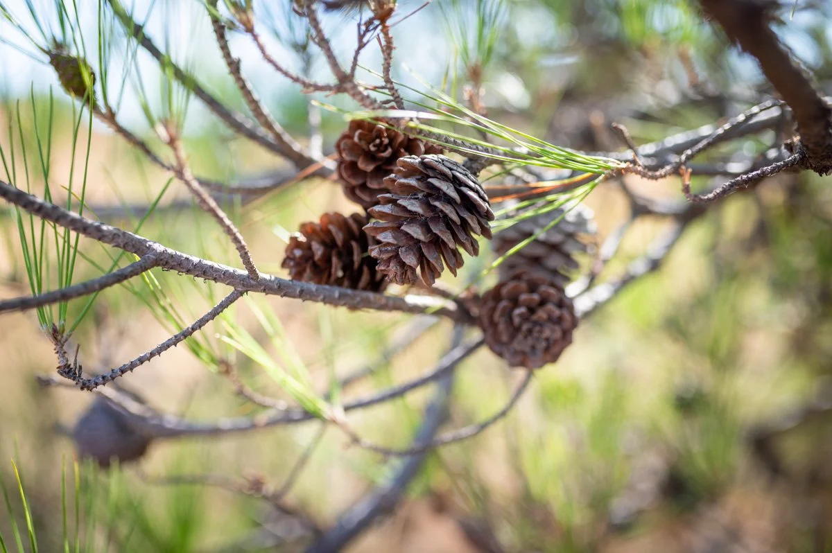ΠΟΙΟΣ ΕΙΝΑΙ Ο ΣΚΟΠΟΣ ΜΟΥ?