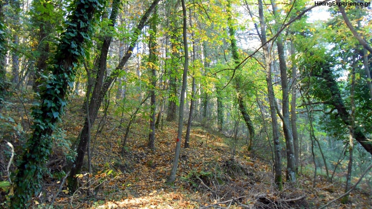 ενΣΩΜΑτωση SPIRITUAL RETREAT