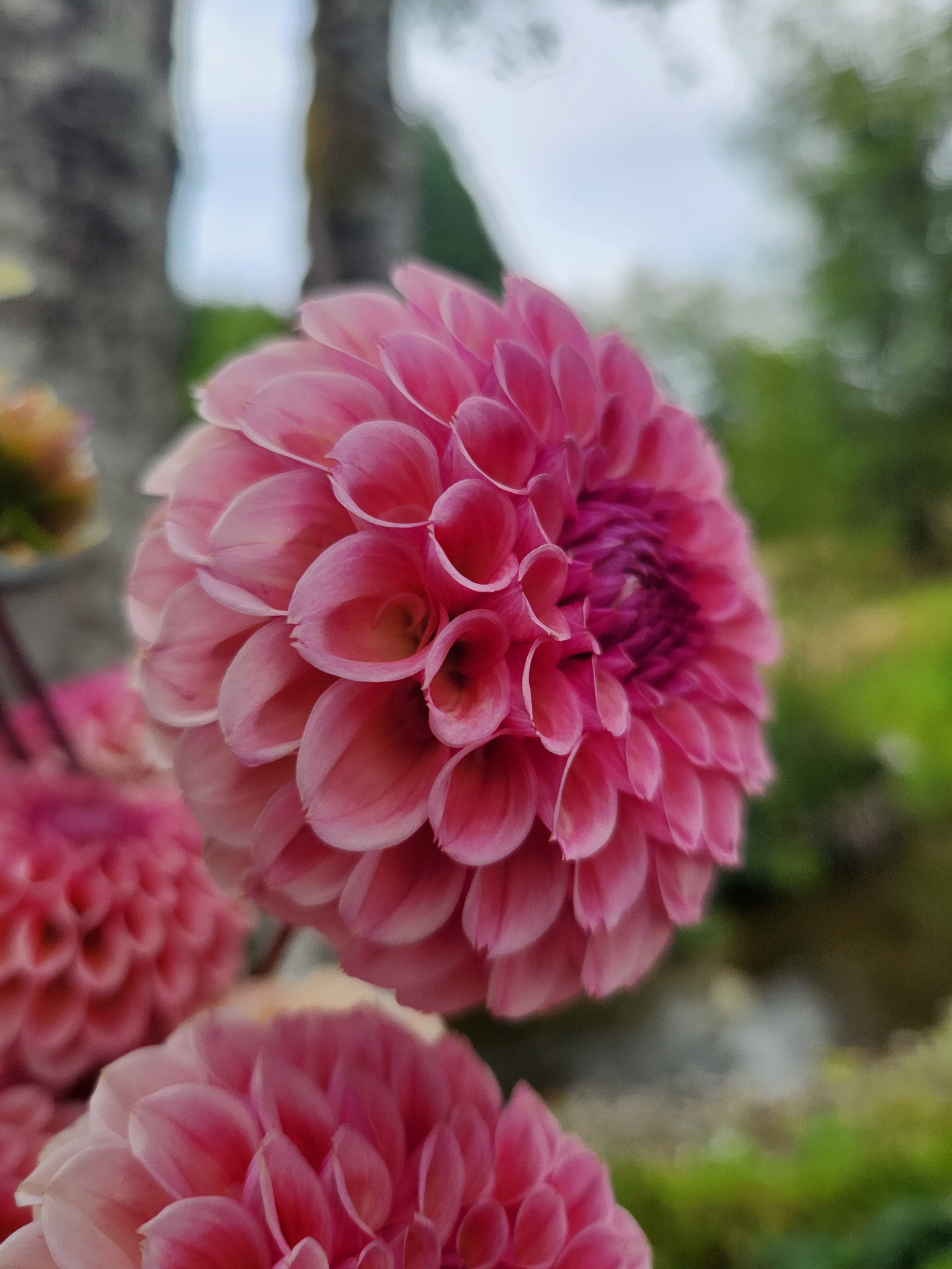 20260816_081922[1].jpg