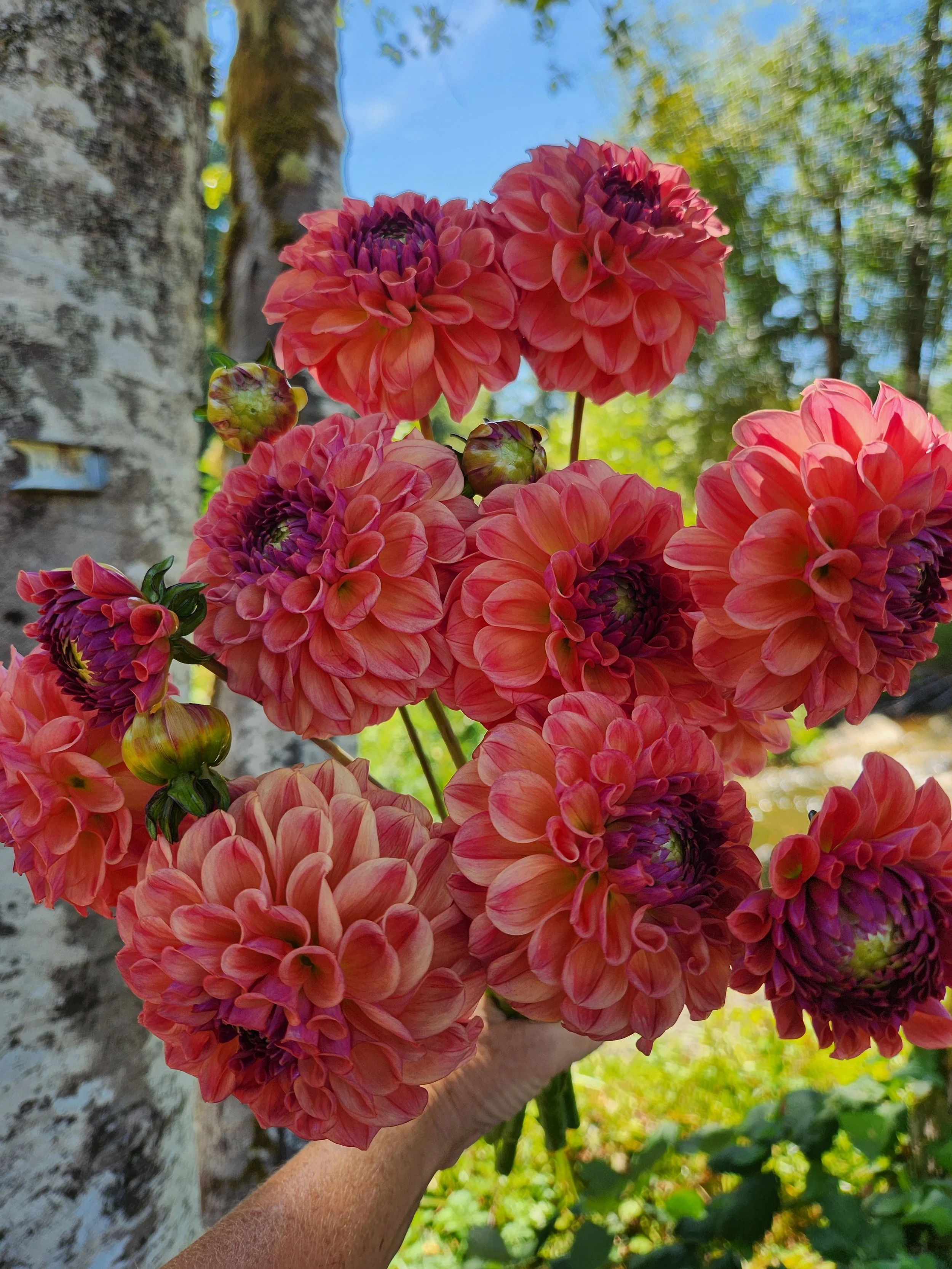 20260810_024542[1].jpg