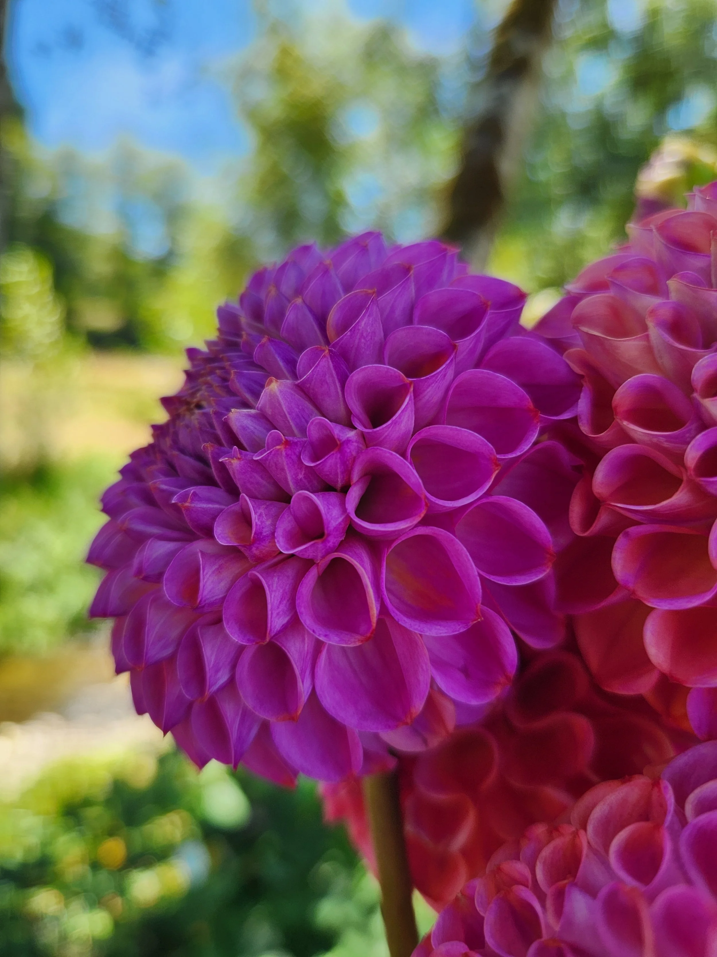 20260809_034326[1].jpg