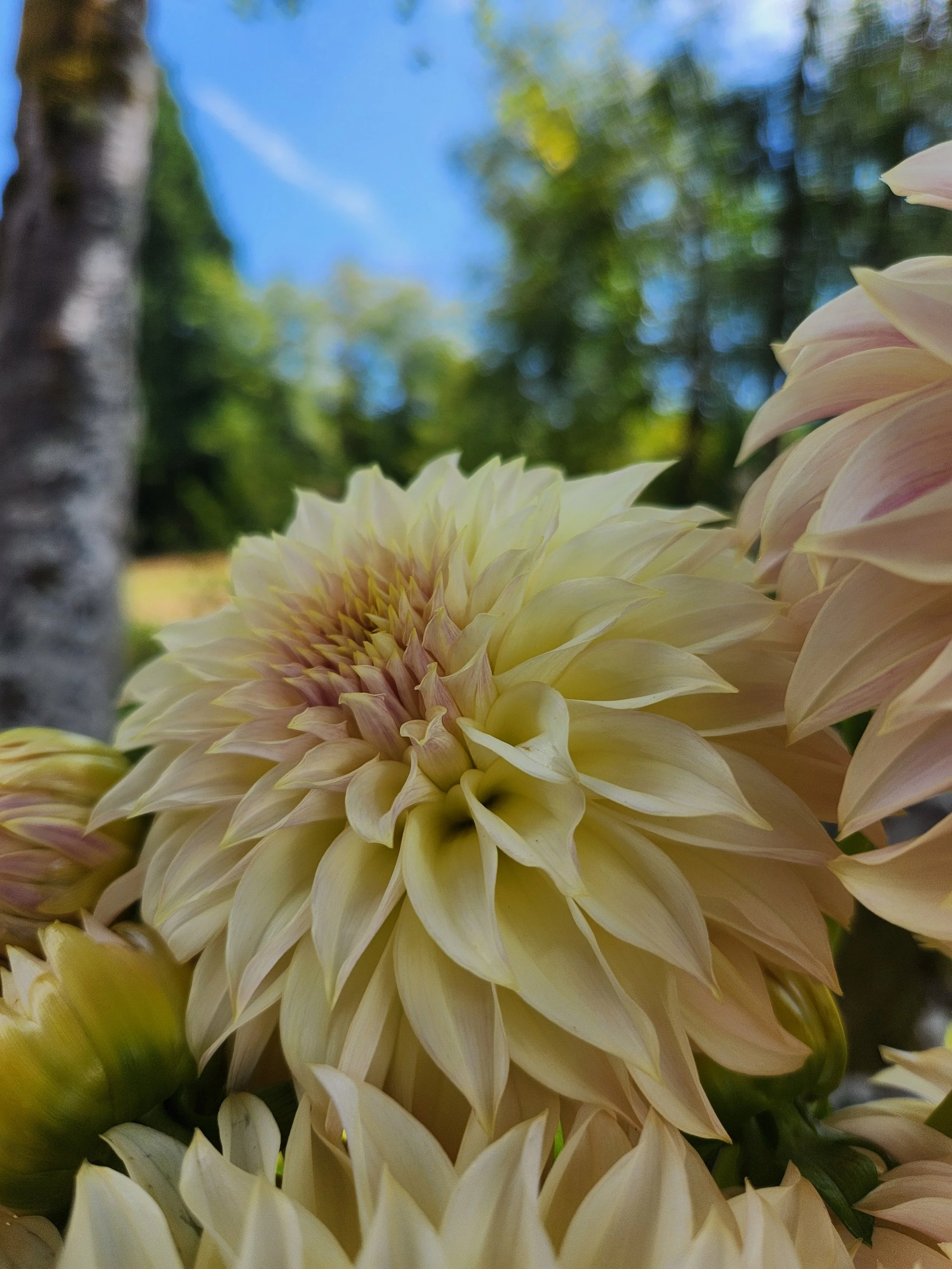 20260810_052148[1].jpg