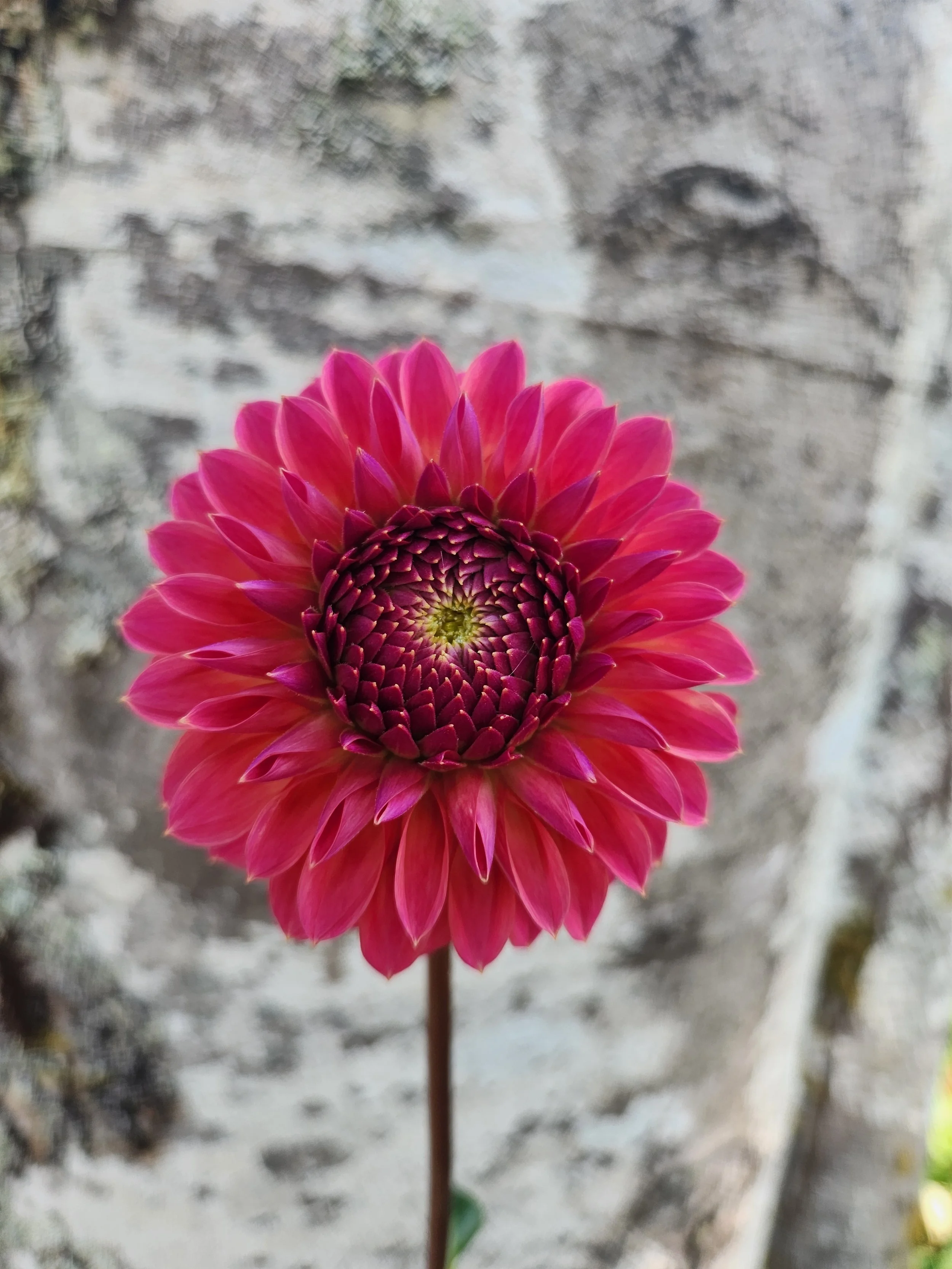20260814_051400[1].jpg